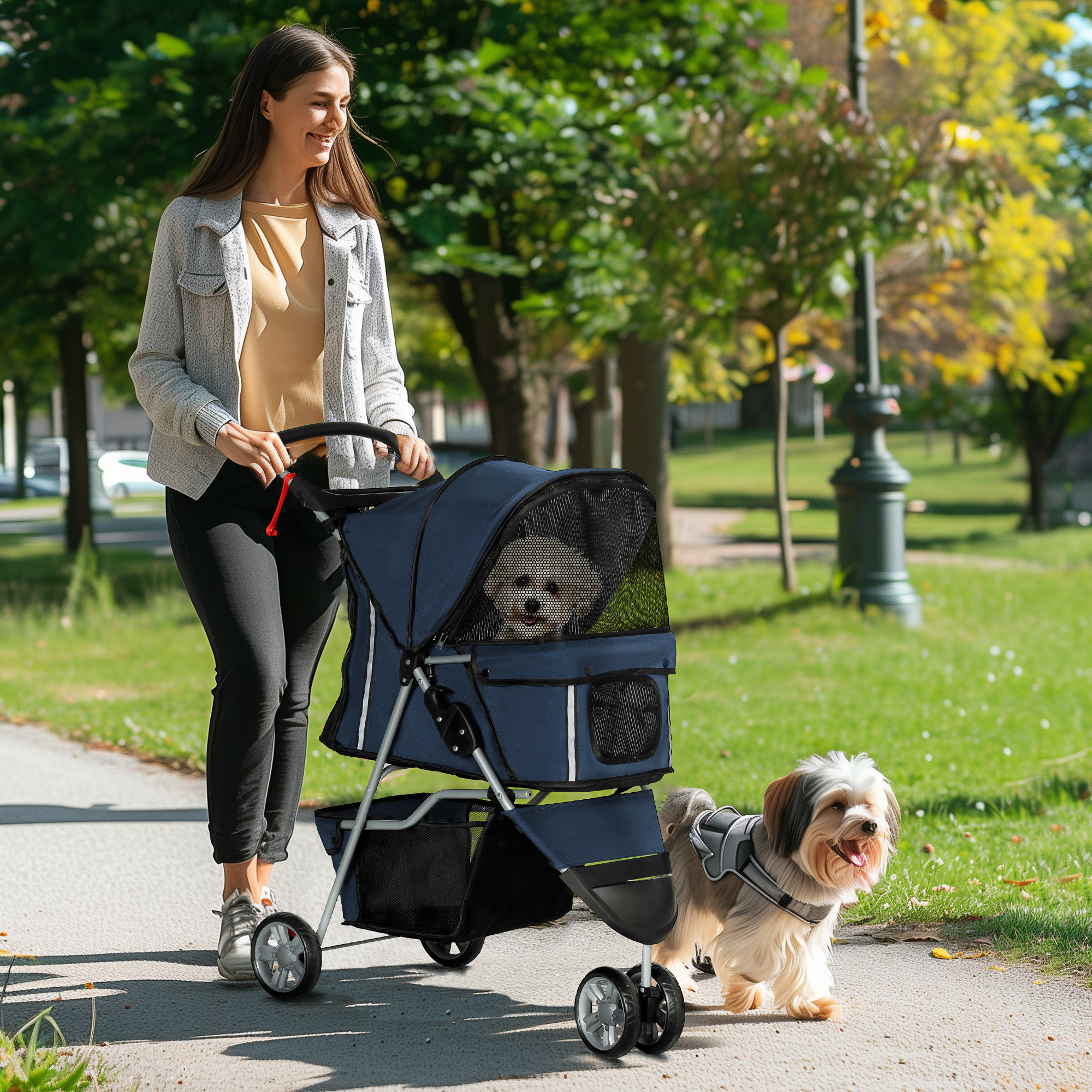 Una mujer camina con un cochecito para mascotas, y un perro camina a su lado en un camino en un parque. El perro lleva un arnés.