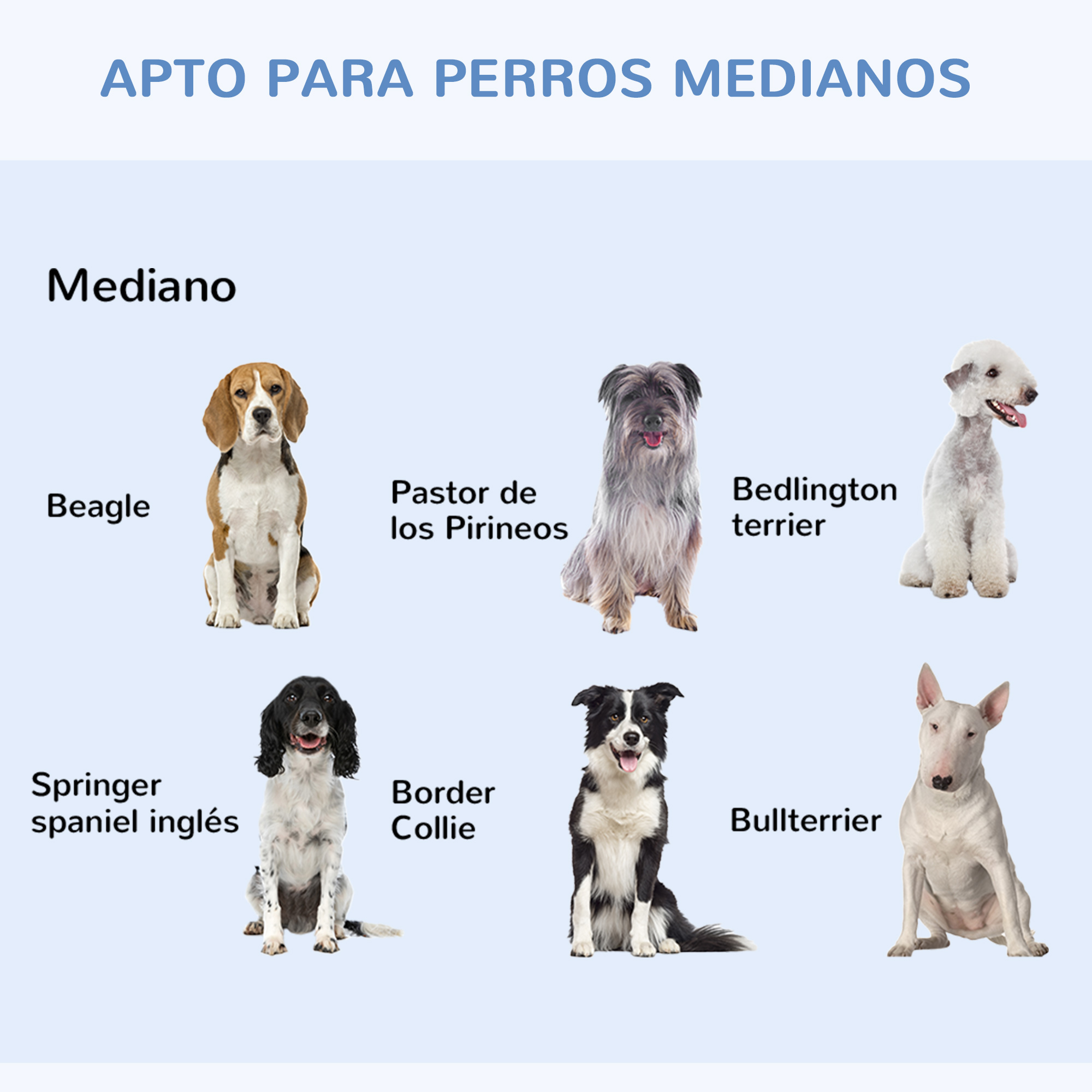 La imagen muestra varias razas de perros: Beagle, Pastor de los Pirineos, Bedlington terrier, Springer spaniel, Border Collie y Bullterrier.