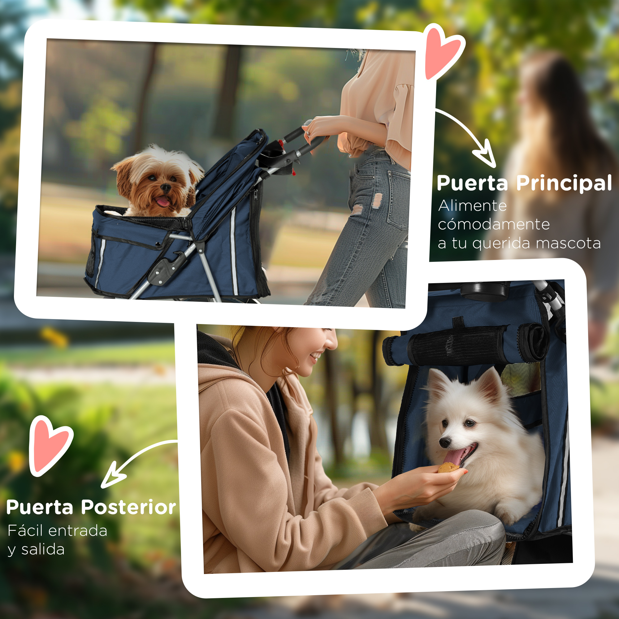 Una mujer empuja un cochecito con un perro dentro. Otra mujer está alimentando al perro.