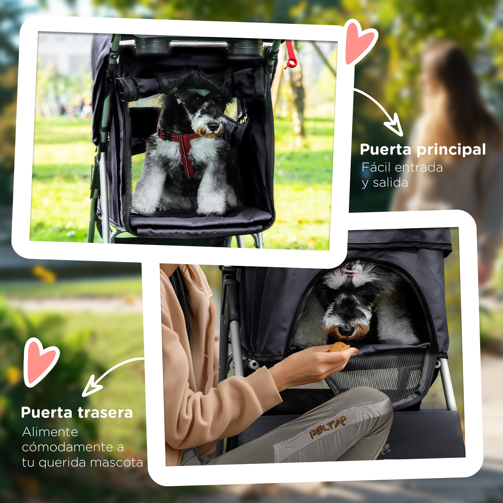 Dos imágenes que muestran un perro pequeño en un cochecito. Una muestra al perro dentro, la otra muestra a alguien alimentándolo.