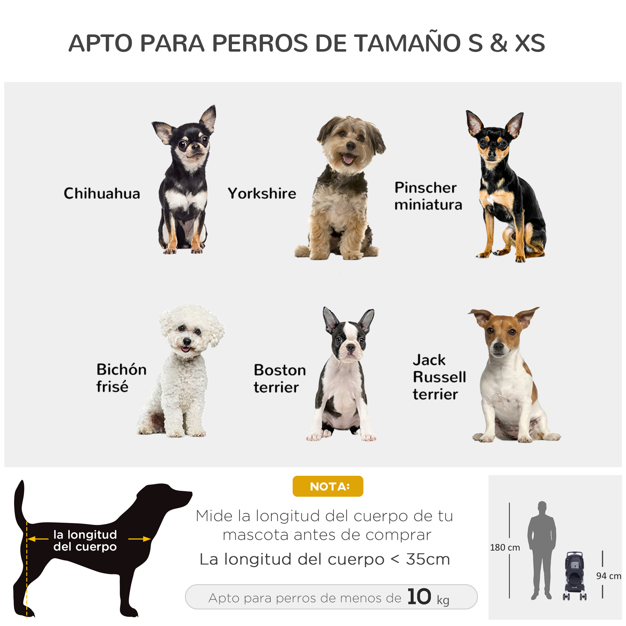 Imagen que muestra razas de perros adecuadas para perros pequeños y extra pequeños: Chihuahua, Yorkshire, Pinscher miniatura, etc.