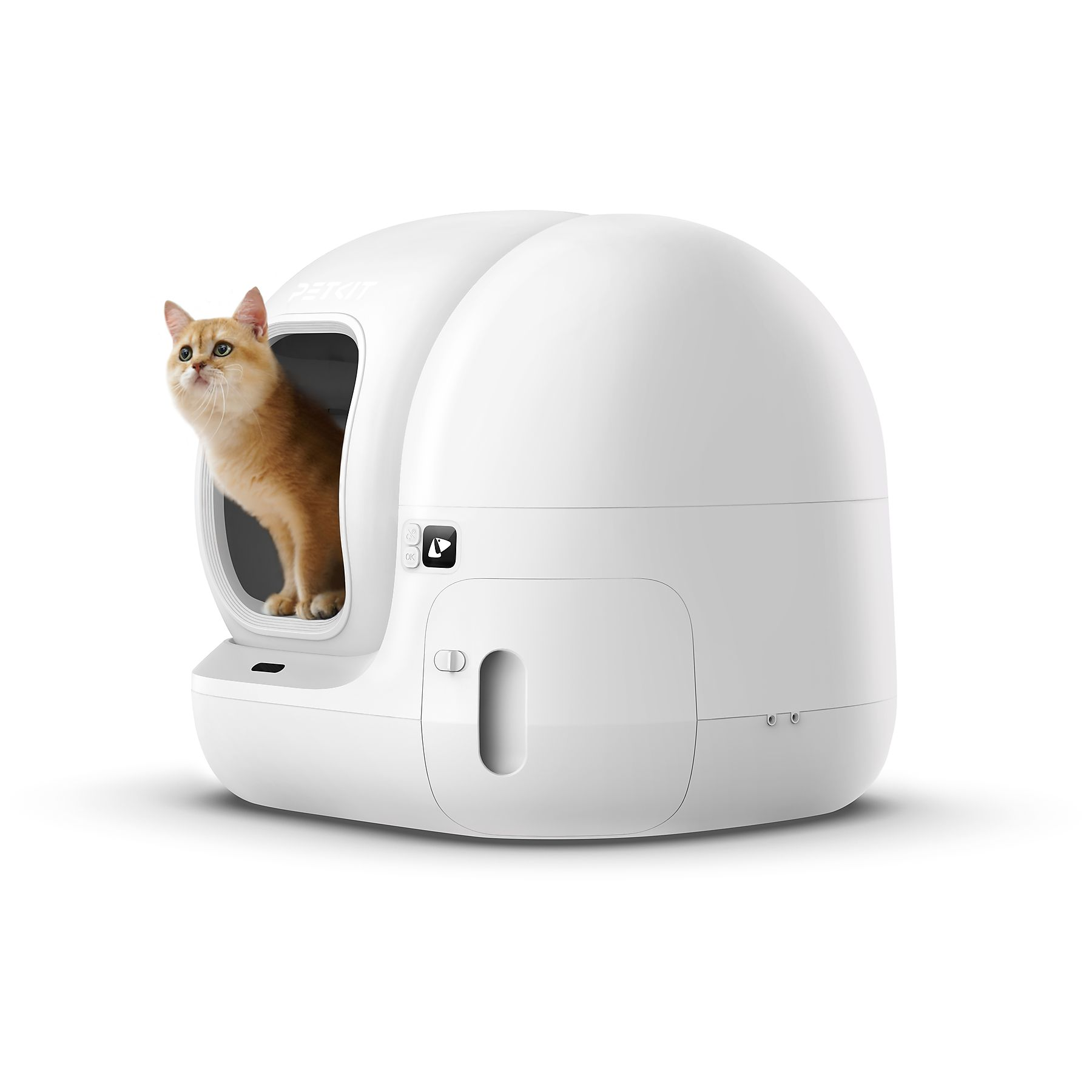 Witte kattenbak met een oranje kat die uit de ingang kijkt. Witte achtergrond.
