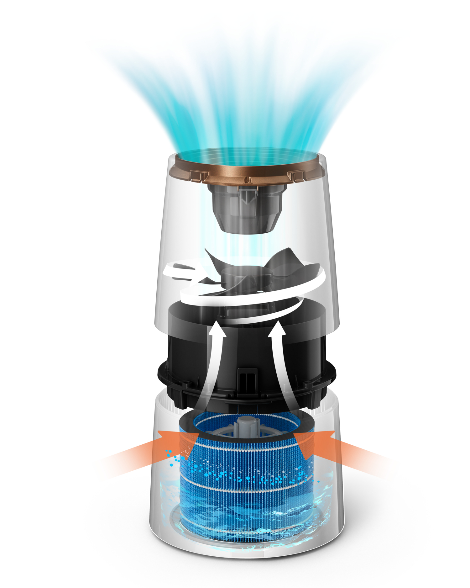 Przezroczysty przekrój oczyszczacza powietrza, pokazujący jego wewnętrzne elementy i ścieżki przepływu powietrza.