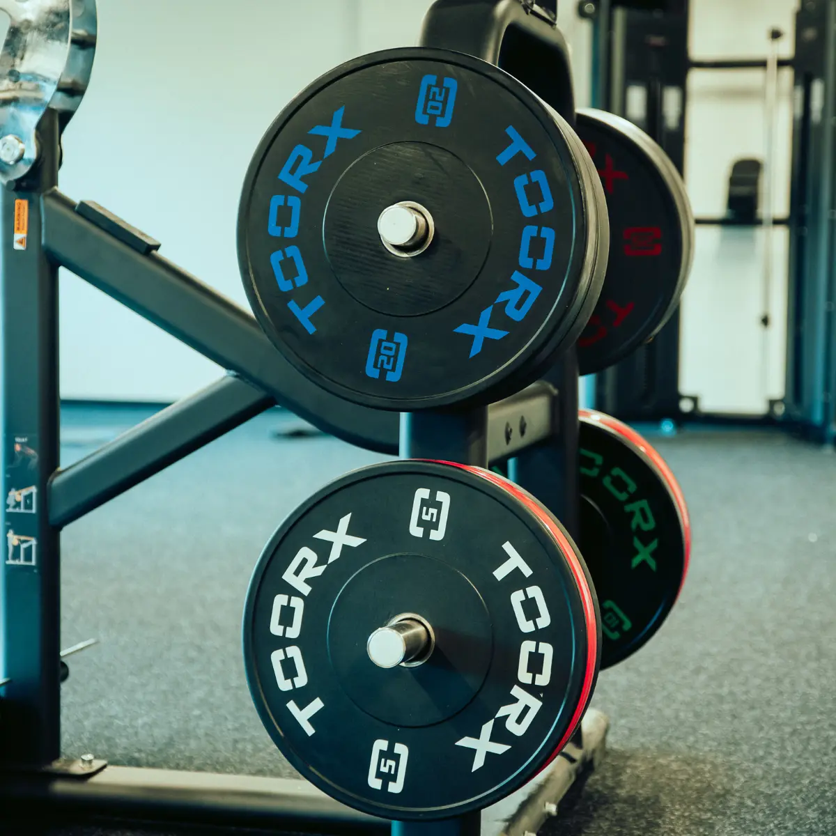 Hantelscheiben auf Ständer. Schwarze Gewichte mit Text. Fitnessstudio.