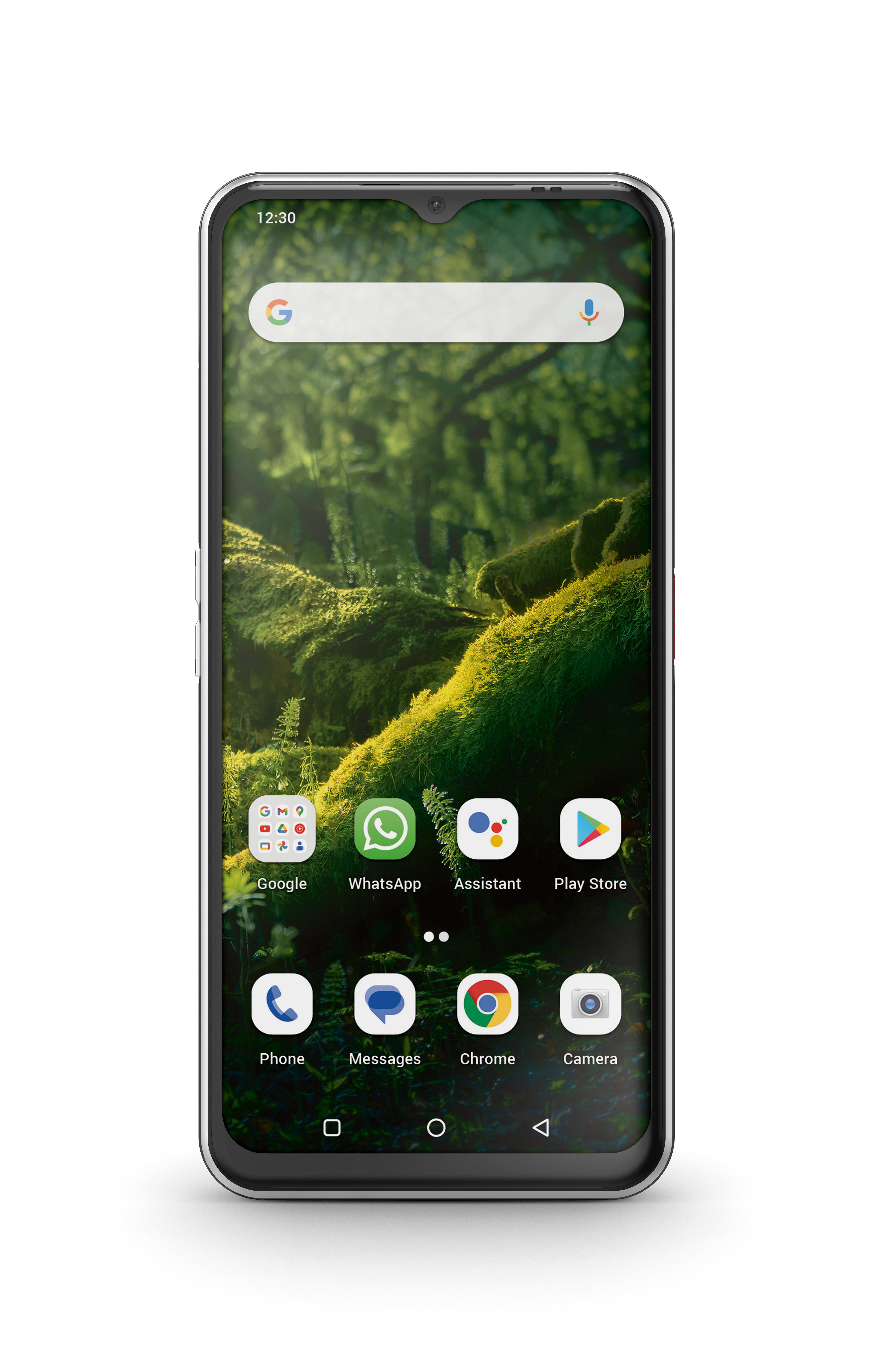 Smartphone mit grünem Wald-Hintergrund. Symbole für Google, WhatsApp, Assistant, Play Store, Telefon, Nachrichten, Chrome, Kamera.