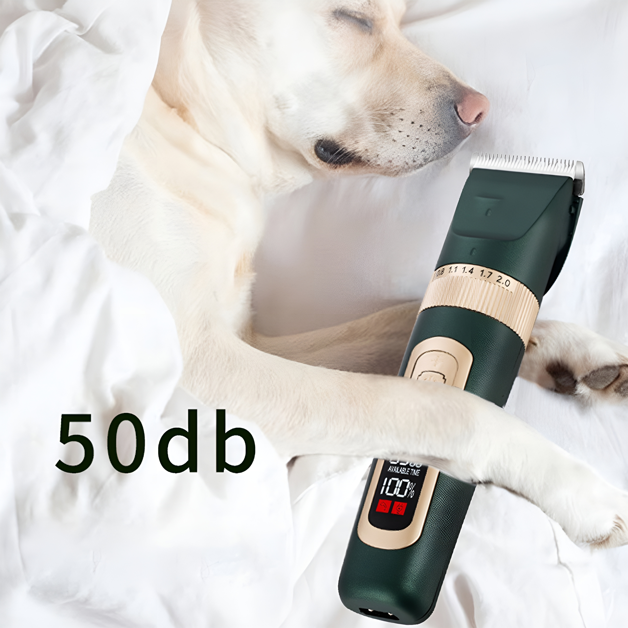 Ein Hund schläft unter einer Decke neben einem dunkelgrünen Haarschneider mit 100%.
