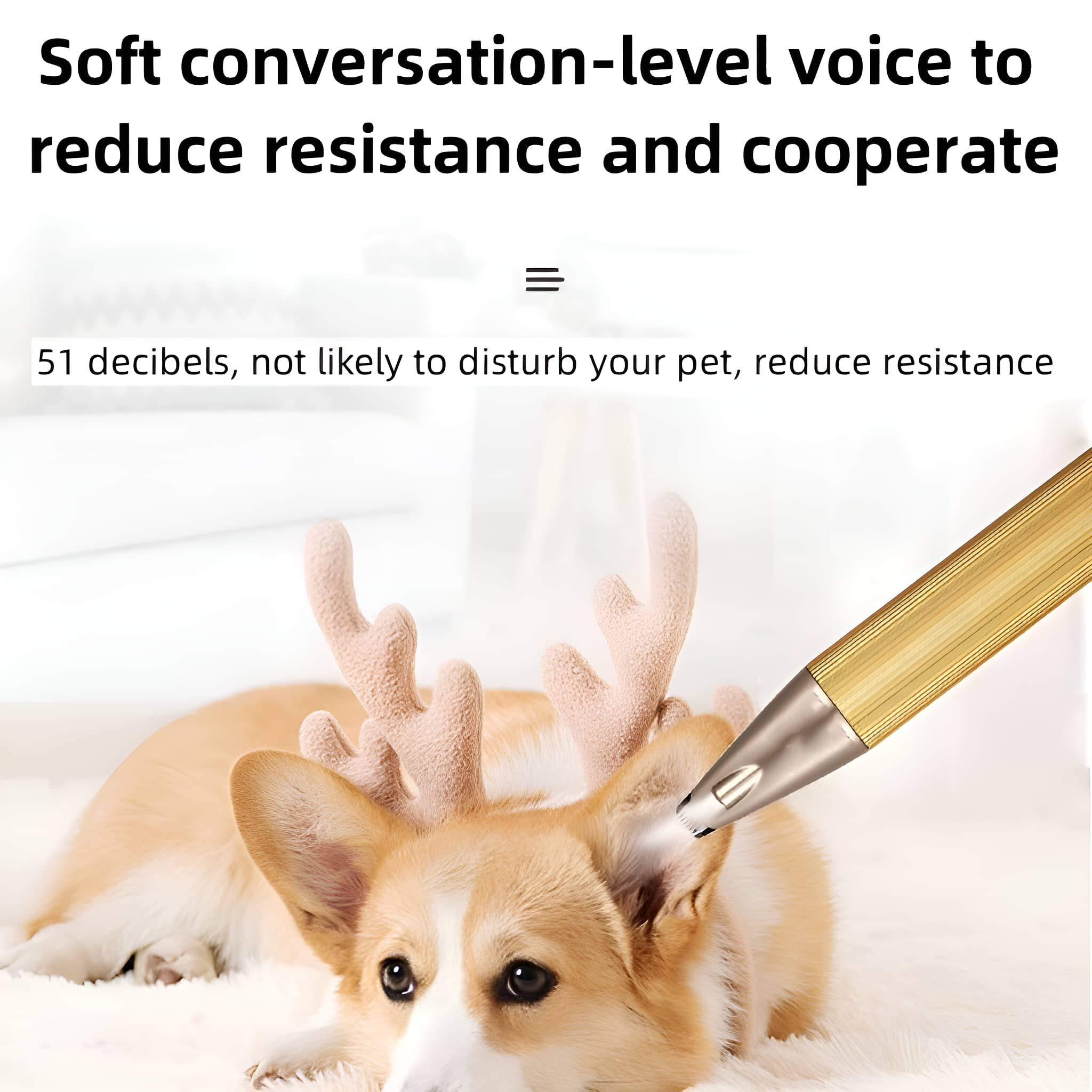Ein Hund mit Geweih wird mit einem goldenen Werkzeug am Ohr untersucht. Der Hintergrund ist weich, verschwommen weiß.