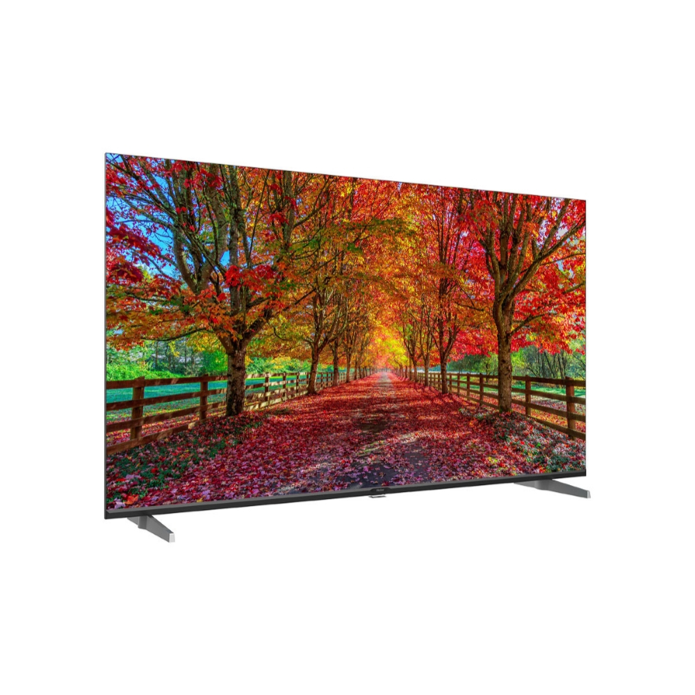 TV che mostra una scena di alberi in autunno.