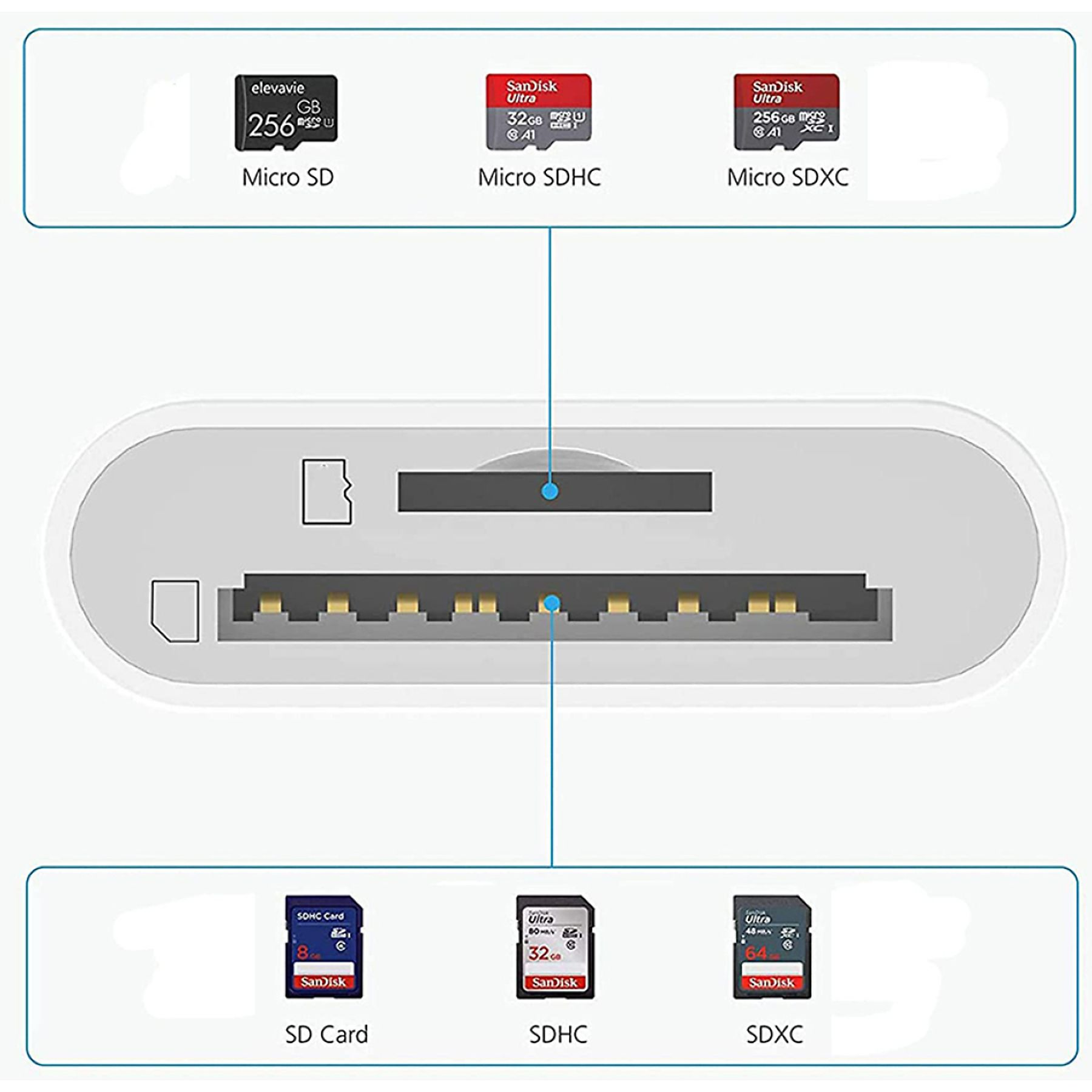 Kartenleser mit verschiedenen SD-Karten: Micro SD, SDHC, SDXC und SD-Karte. Alle beschriftet.