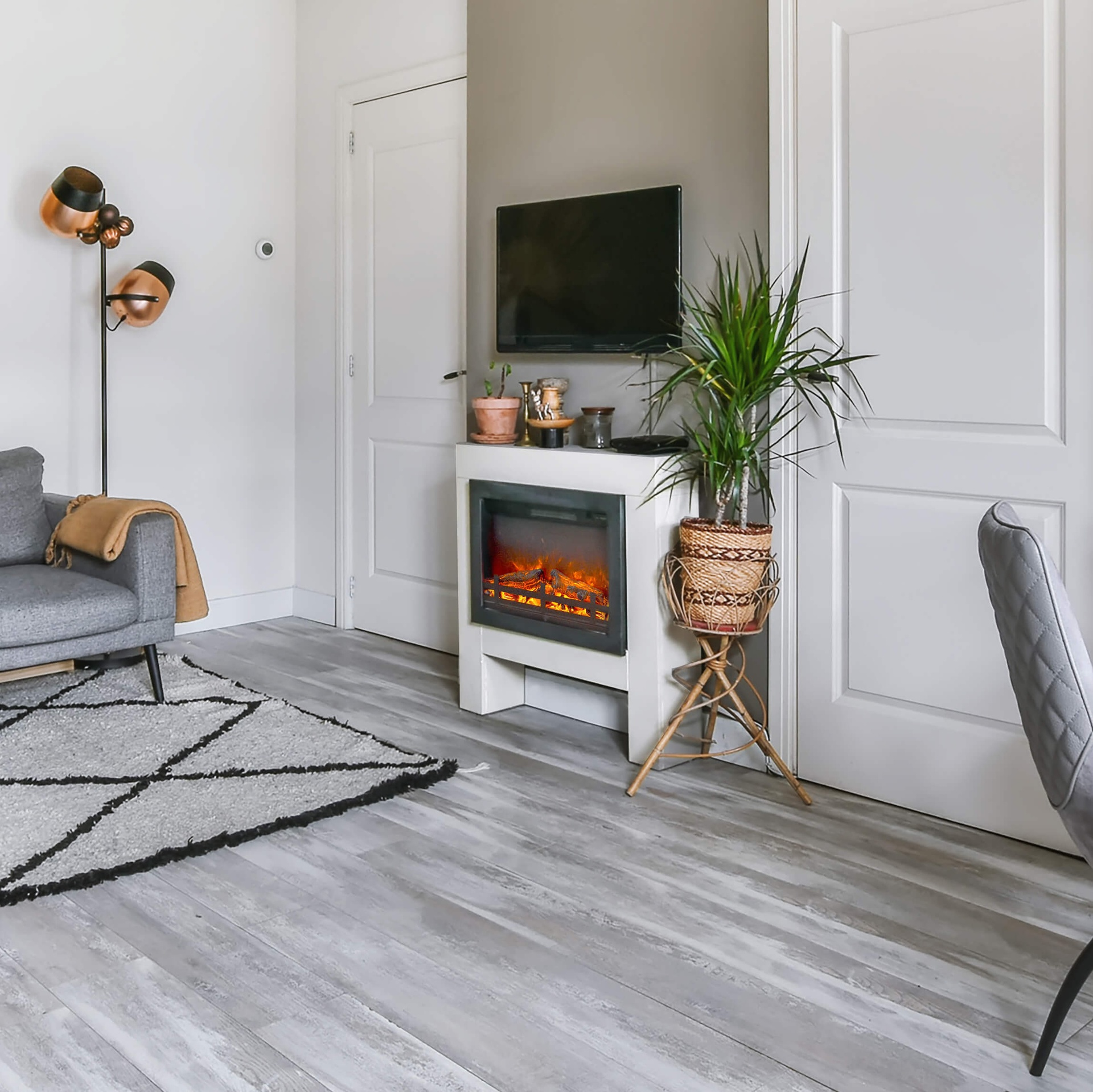 Woonkamer met grijze bank, vloerkleed, open haard, tv en planten. Koperen lamp links. Witte deuren.