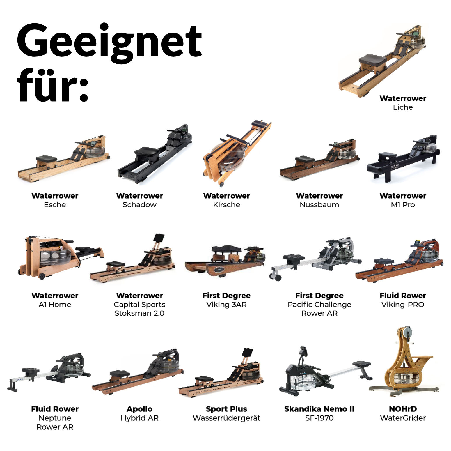 Verschiedene Rudergeräte. Verschiedene Modelle von Rudermaschinen werden präsentiert, jede mit einem anderen Design.