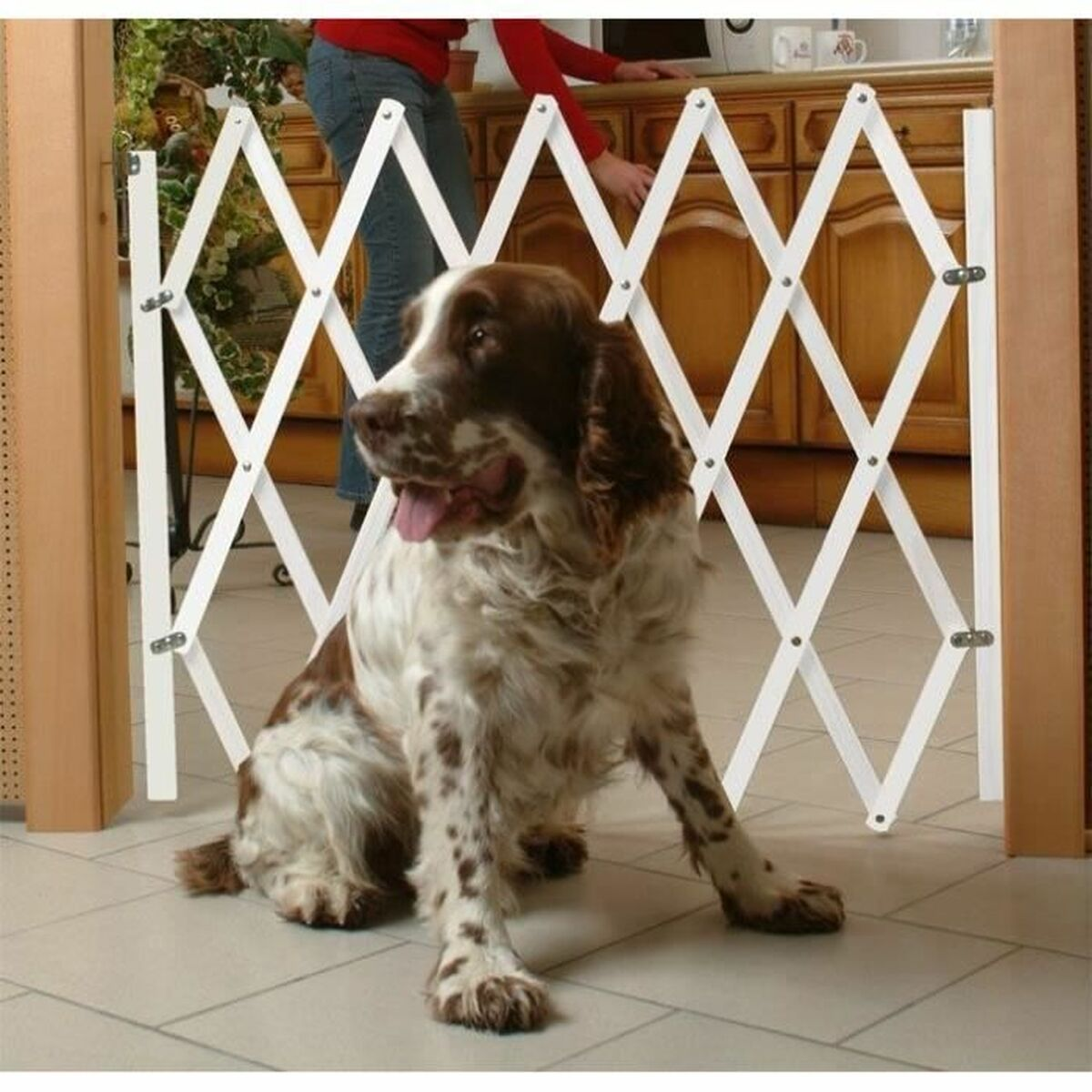 Hund hinter weißem Gitter. Im Hintergrund ist eine Person. Der Hund hat braunes und weißes Fell.