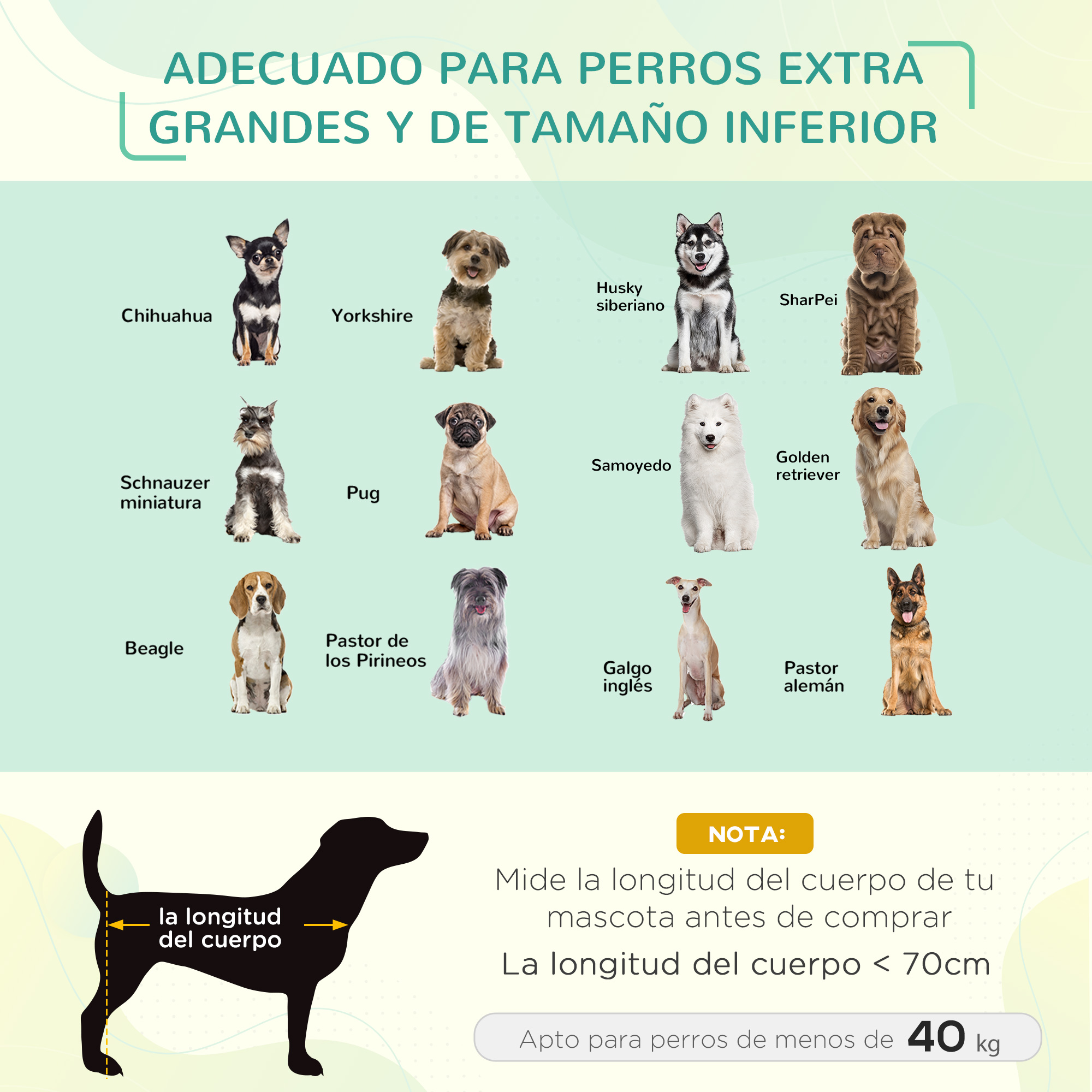 Diagrama de razas de perros adecuadas para perros más grandes y más pequeños, con guía de tallas y texto.