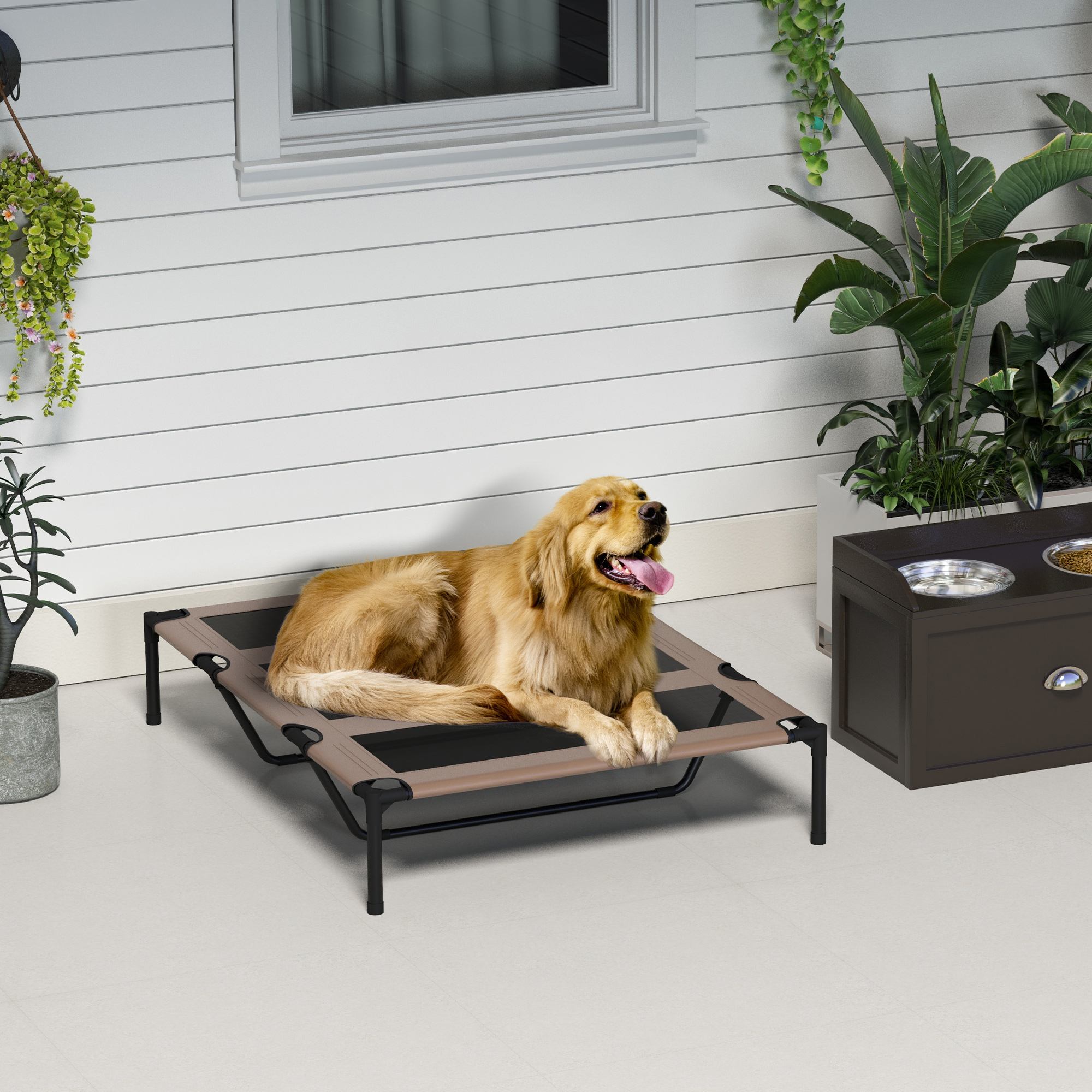 Perro Golden Retriever acostado en cama elevada para mascotas afuera. Plantas, revestimiento blanco.