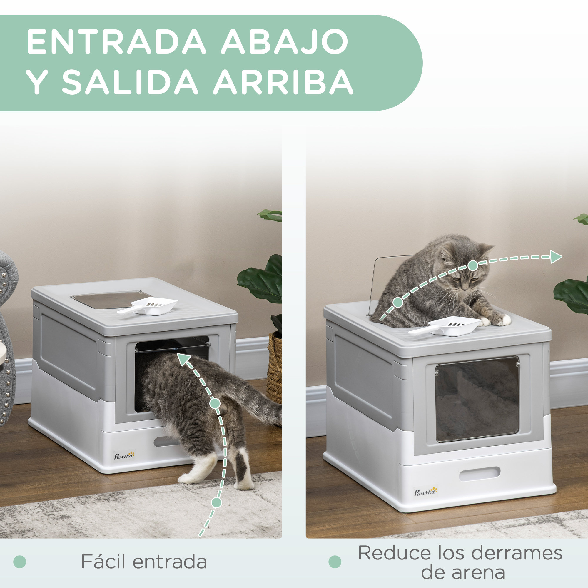 Diagrama de un gato usando una caja de arena, mostrando los puntos de entrada y salida.