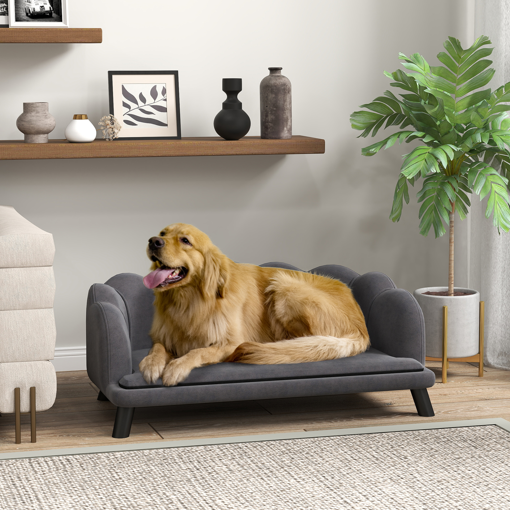 Ein Hund auf einem grauen Sofa in einem Wohnzimmer.