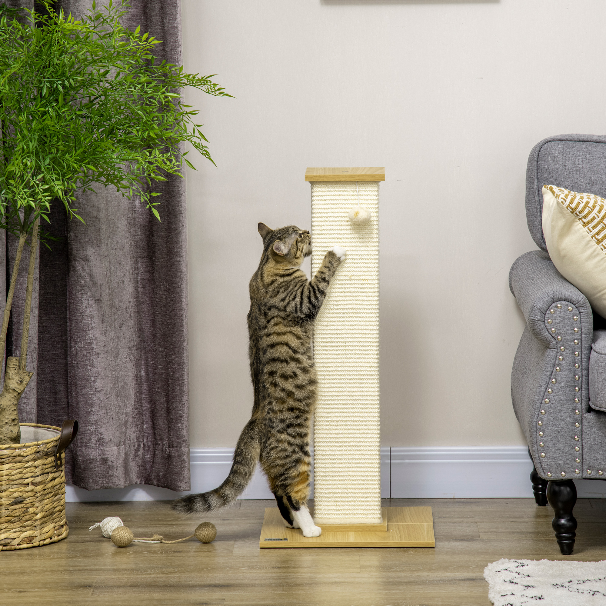 Un gato jugando con un rascador. El gato está de pie.