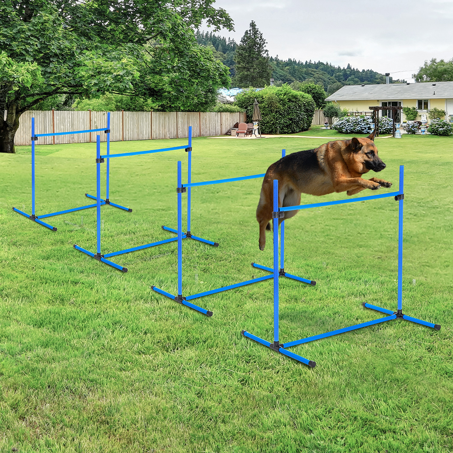 Ein Hund springt über blaue Agility-Hürden auf grünem Gras. Bäume und ein Haus im Hintergrund.