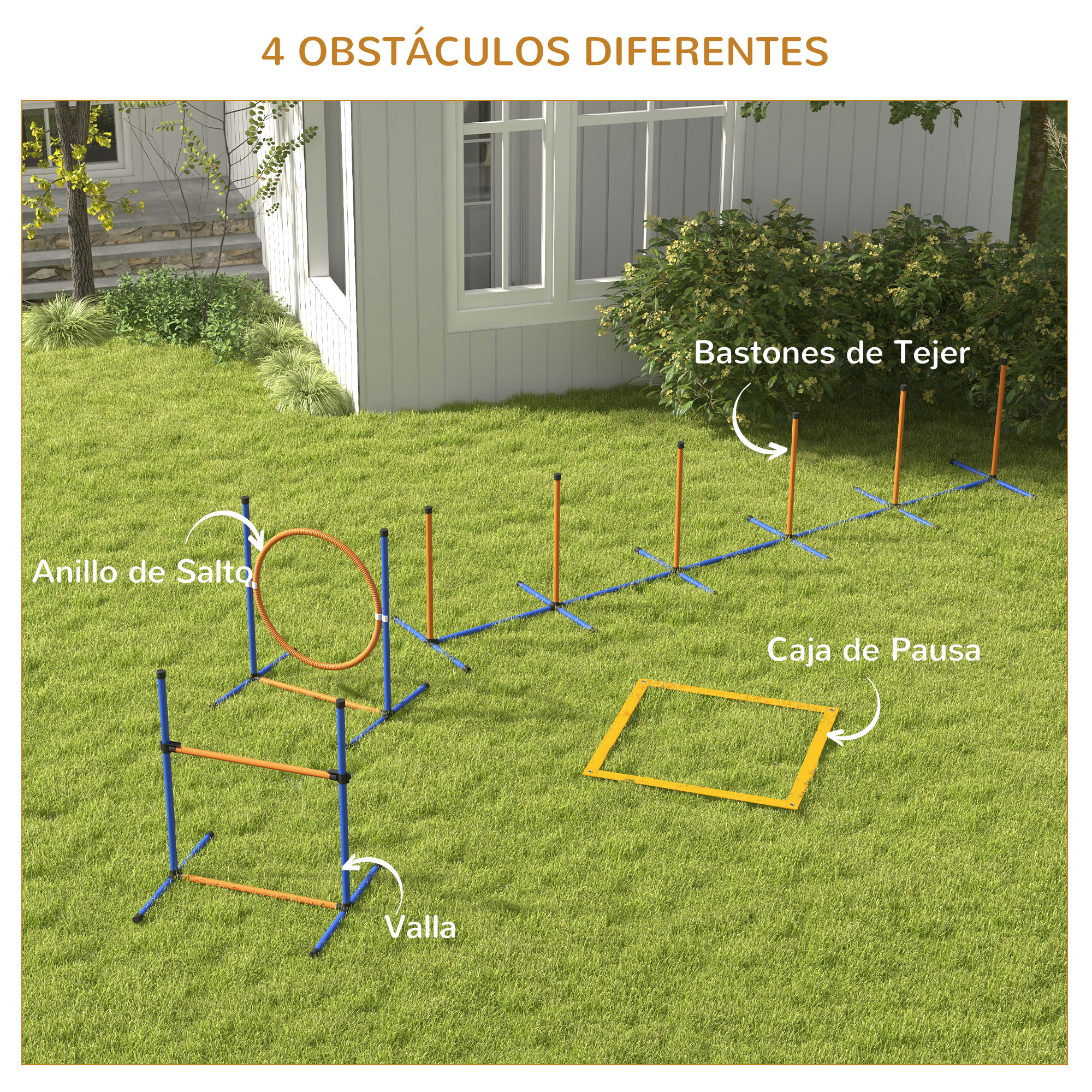 Campo de agilidad canina sobre hierba. Los obstáculos incluyen un aro de salto, vallas, postes de slalom y una caja de pausa.