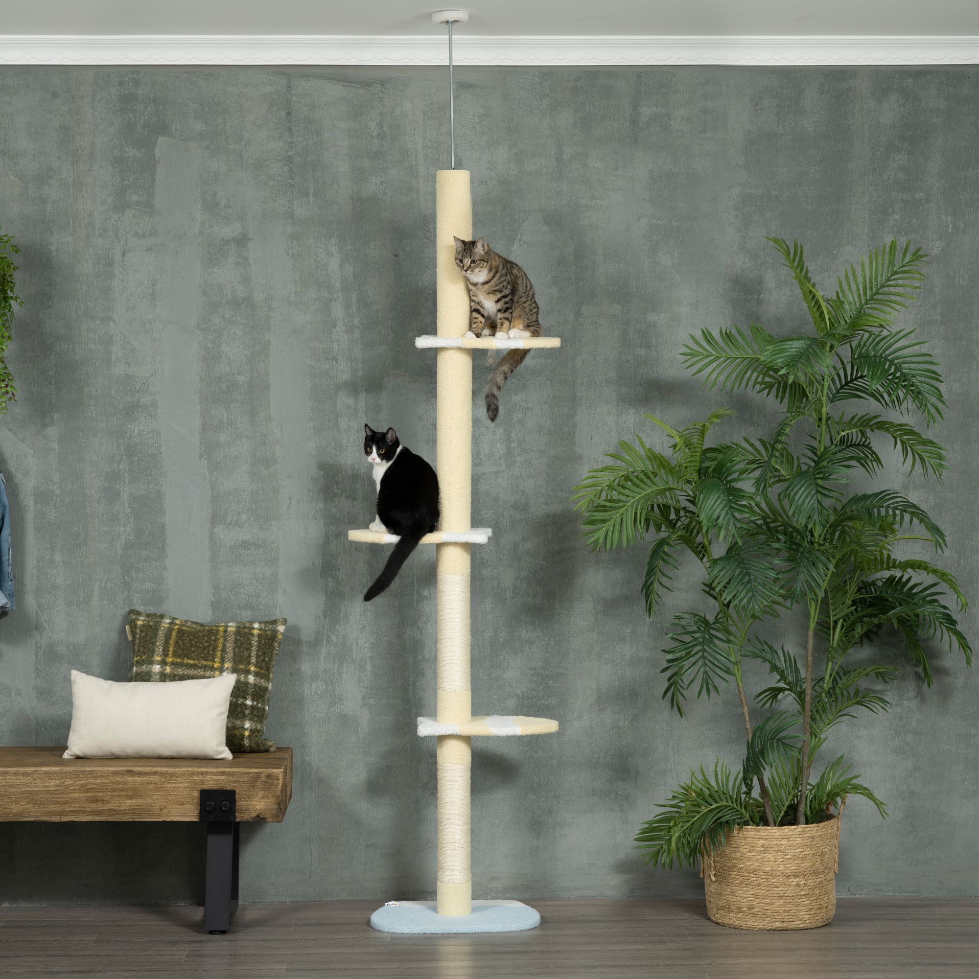 Árbol para gatos con dos gatos, junto a una planta y un banco, pared gris.