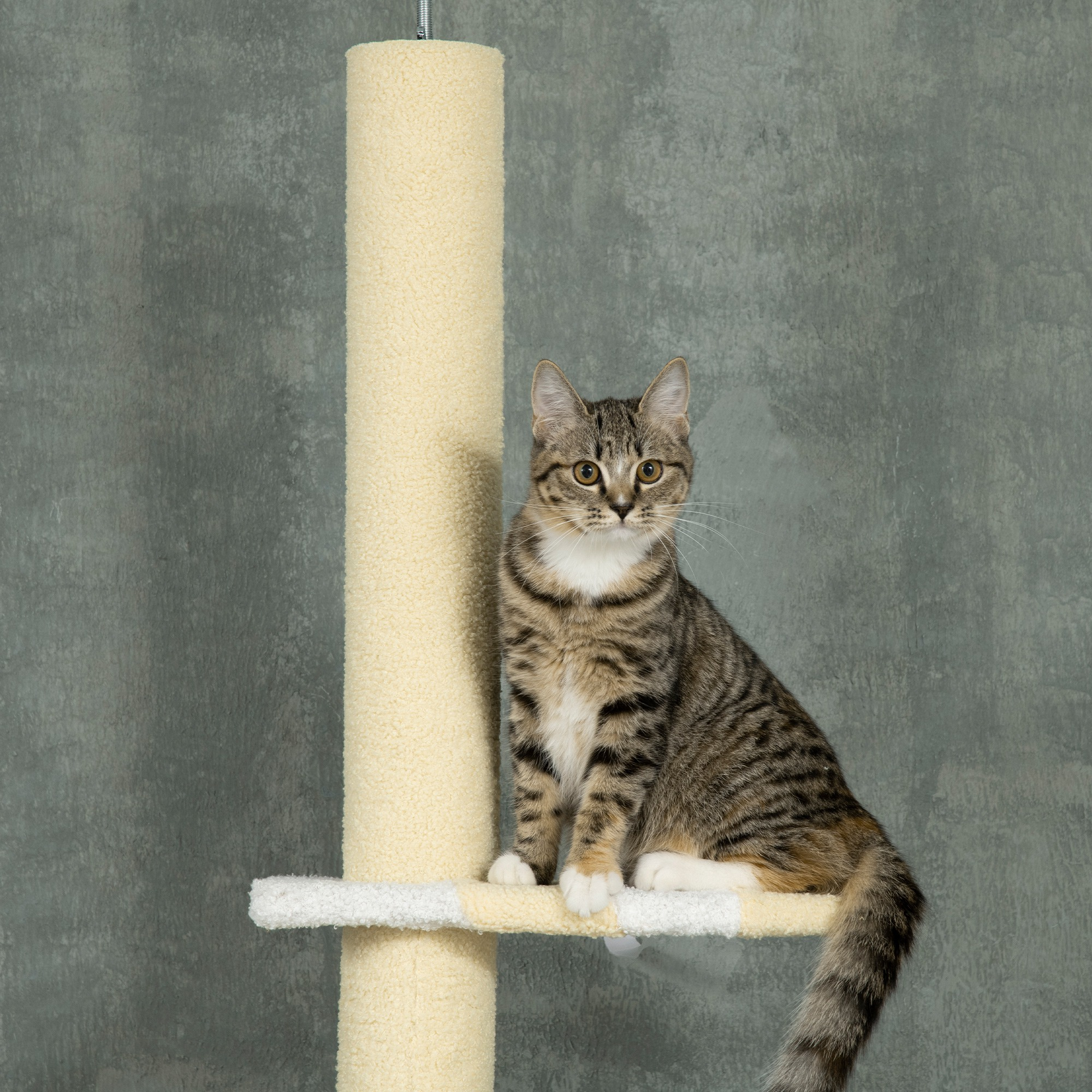 Diagrama del árbol para gatos. Muestra un poste rascador alto con varias plataformas.