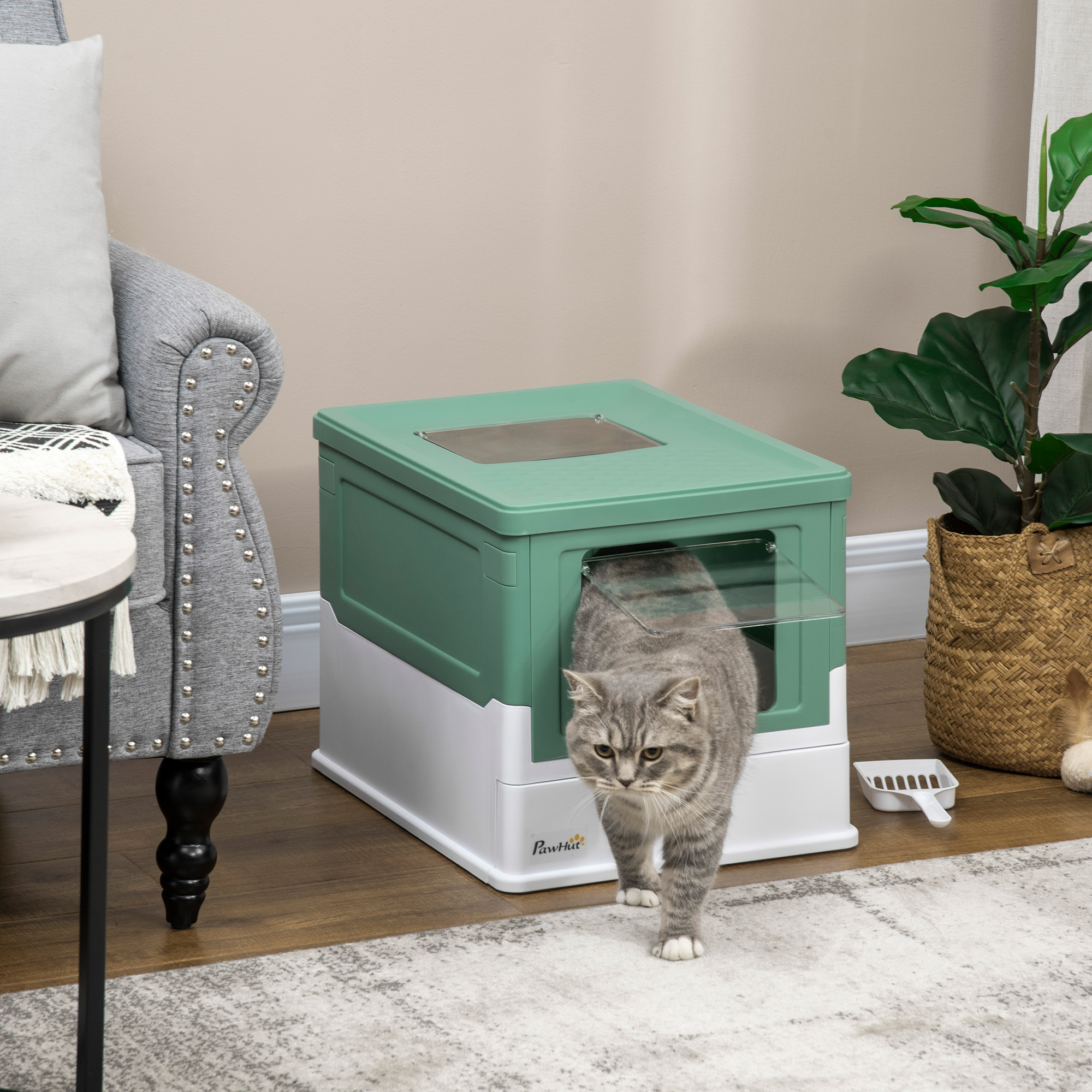 Un gato sale de una caja de arena verde y blanca en una habitación. Hay un gato y accesorios.