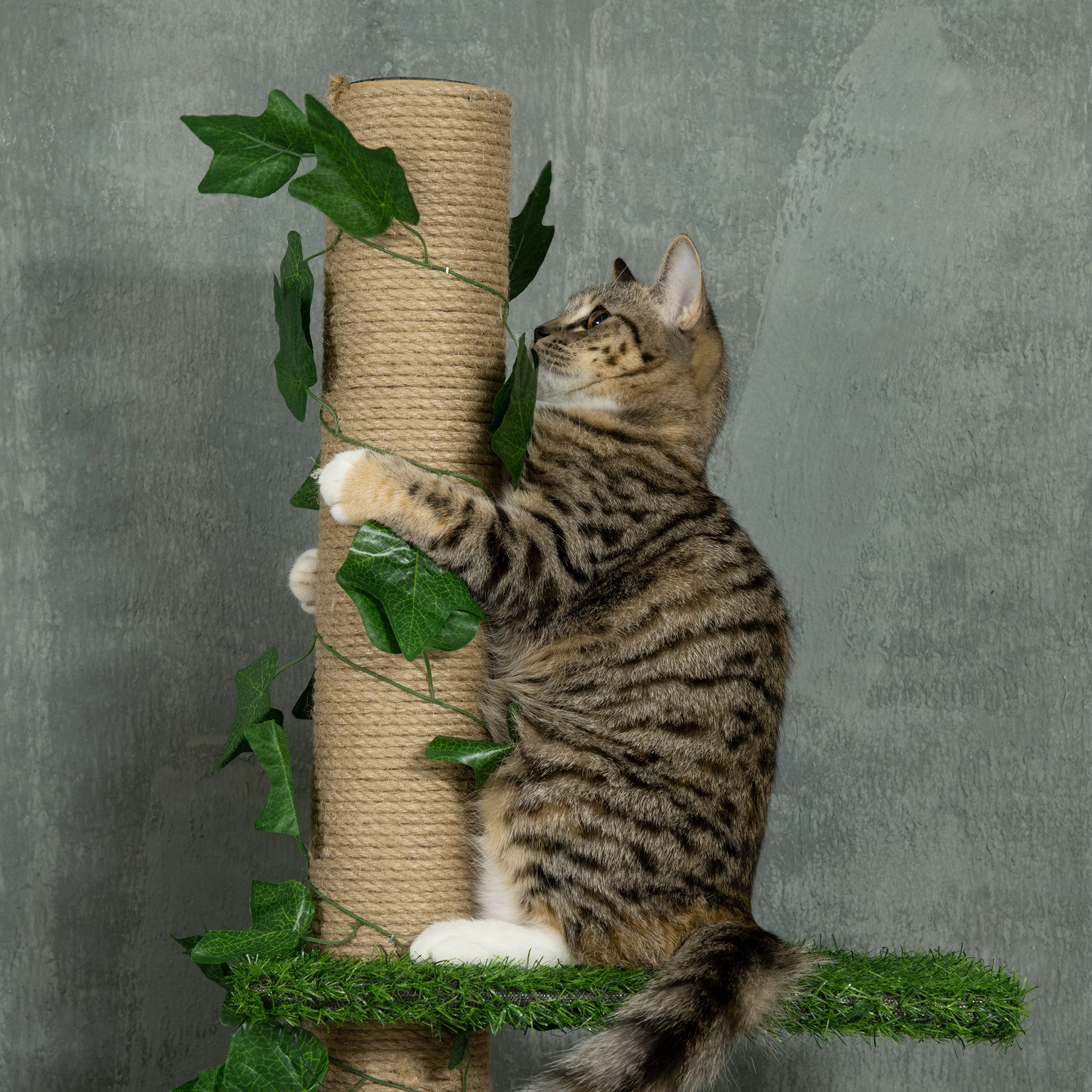 Gatito trepando rascador con hojas, fondo verde y gris.