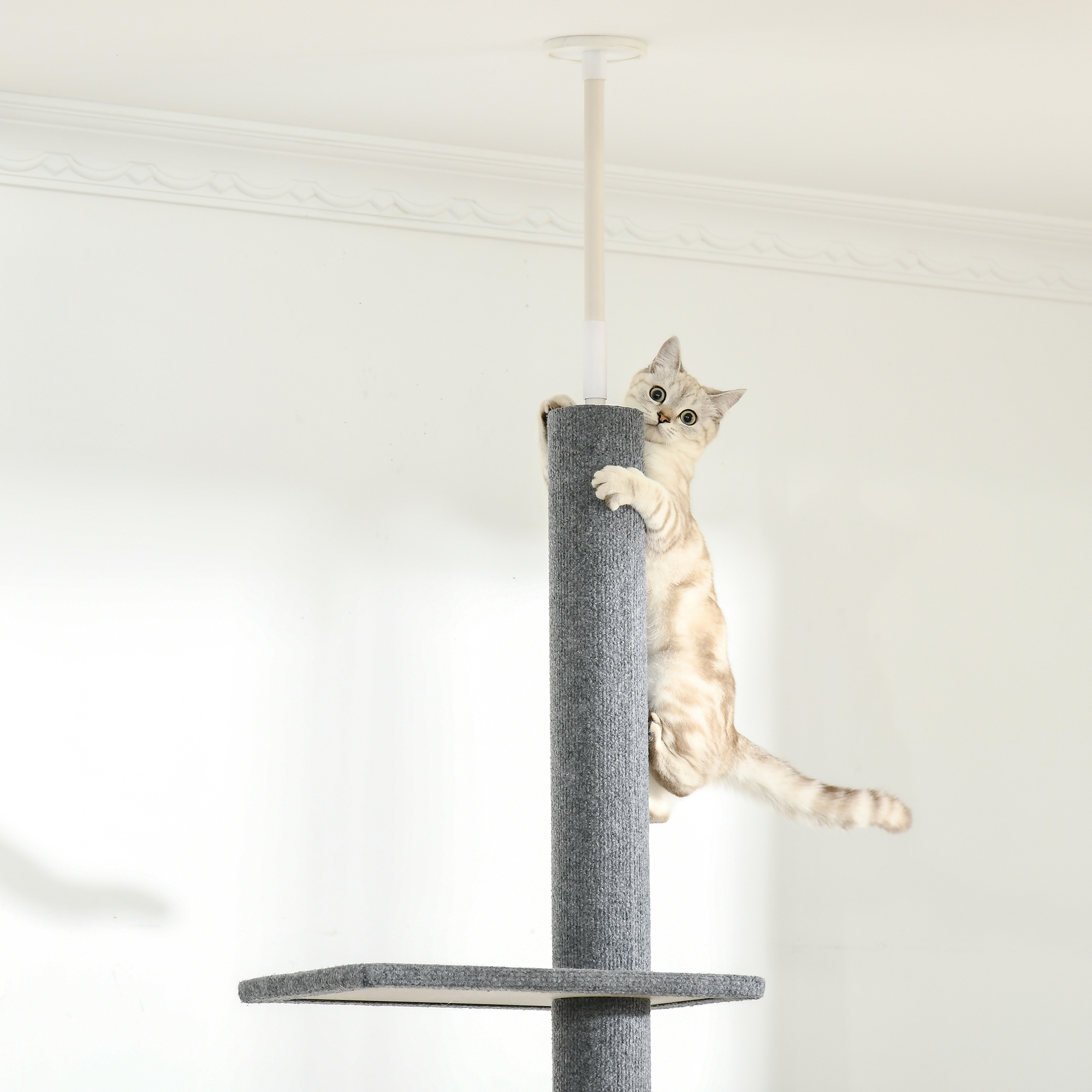 Un gato trepa por un rascador alto y gris. El poste tiene una base y una plataforma en la parte superior.