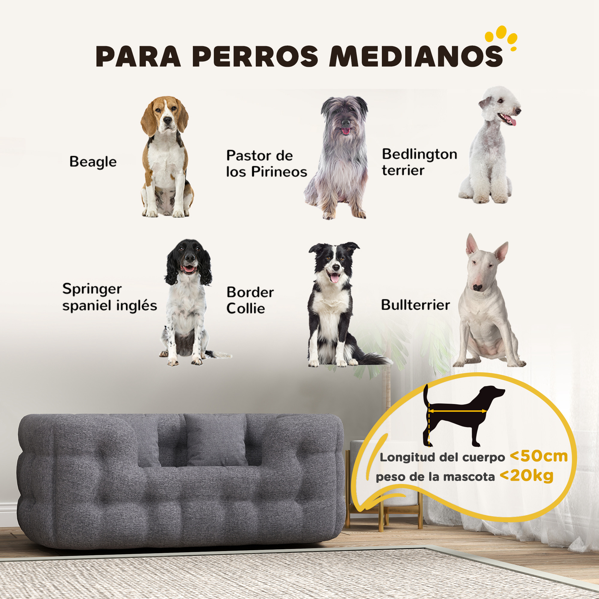 Imagen muestra seis razas de perros con texto 'PARA PERROS MEDIANOS' e info de tamaño.