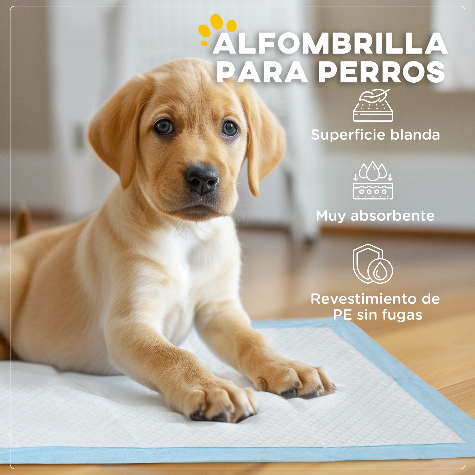 Un cachorro en una almohadilla de entrenamiento para perros. La almohadilla es blanca con ribete azul y el cachorro es canela.