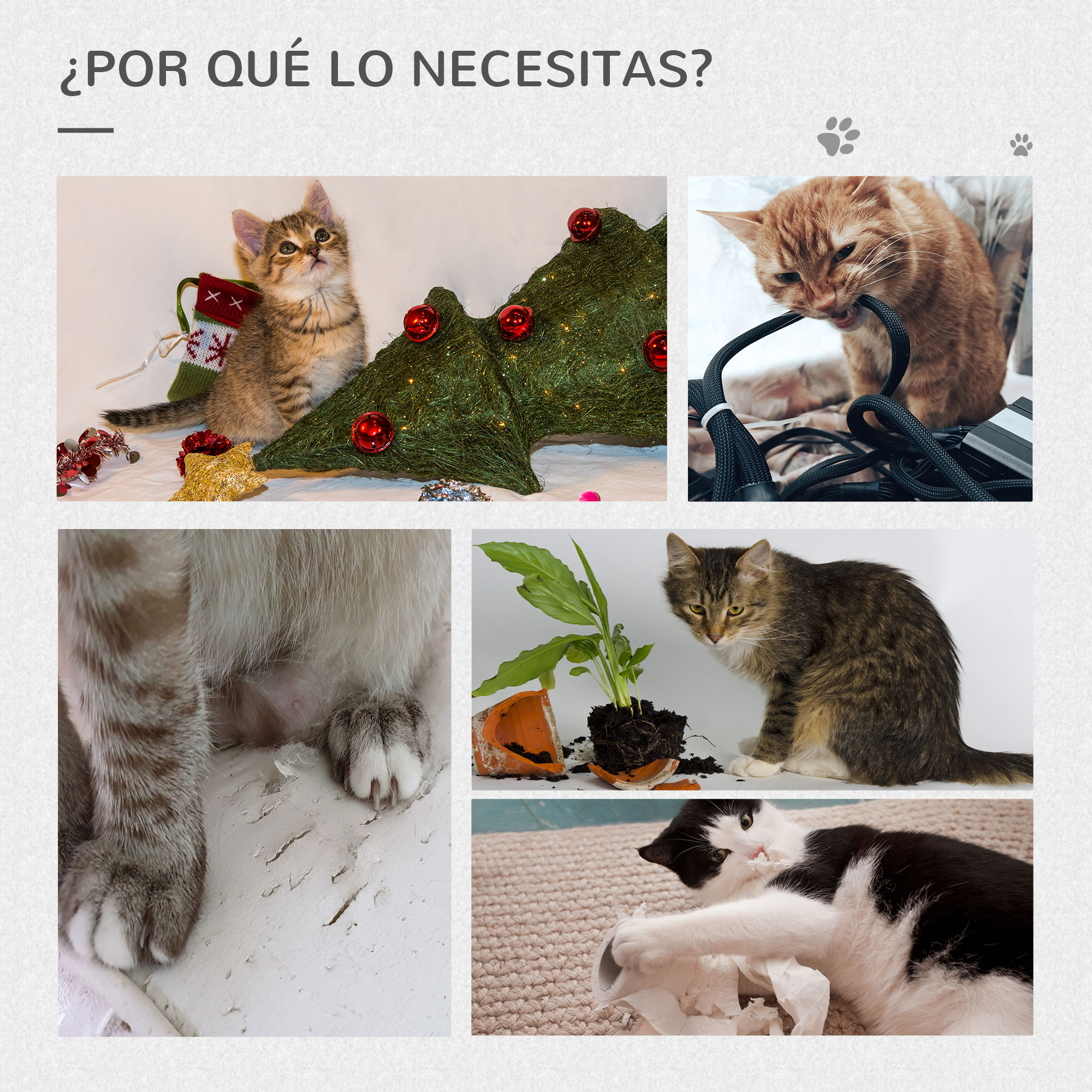 Imágenes de gatos destruyendo objetos.