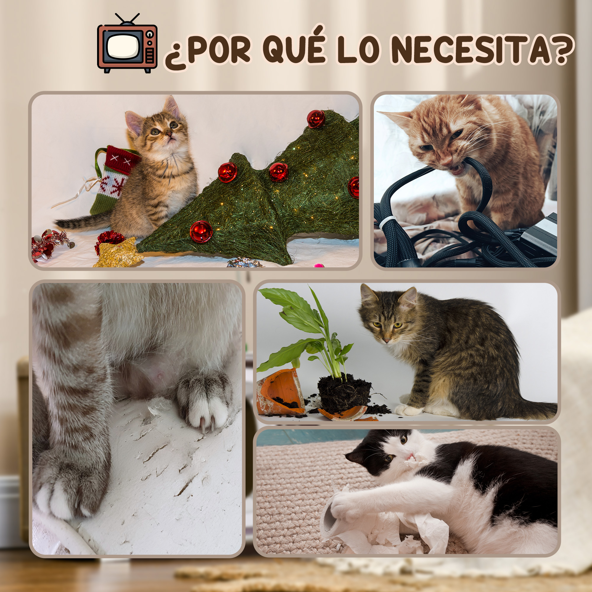 Compilación de imágenes. Gatos interactuando con objetos, posiblemente indicando daños.