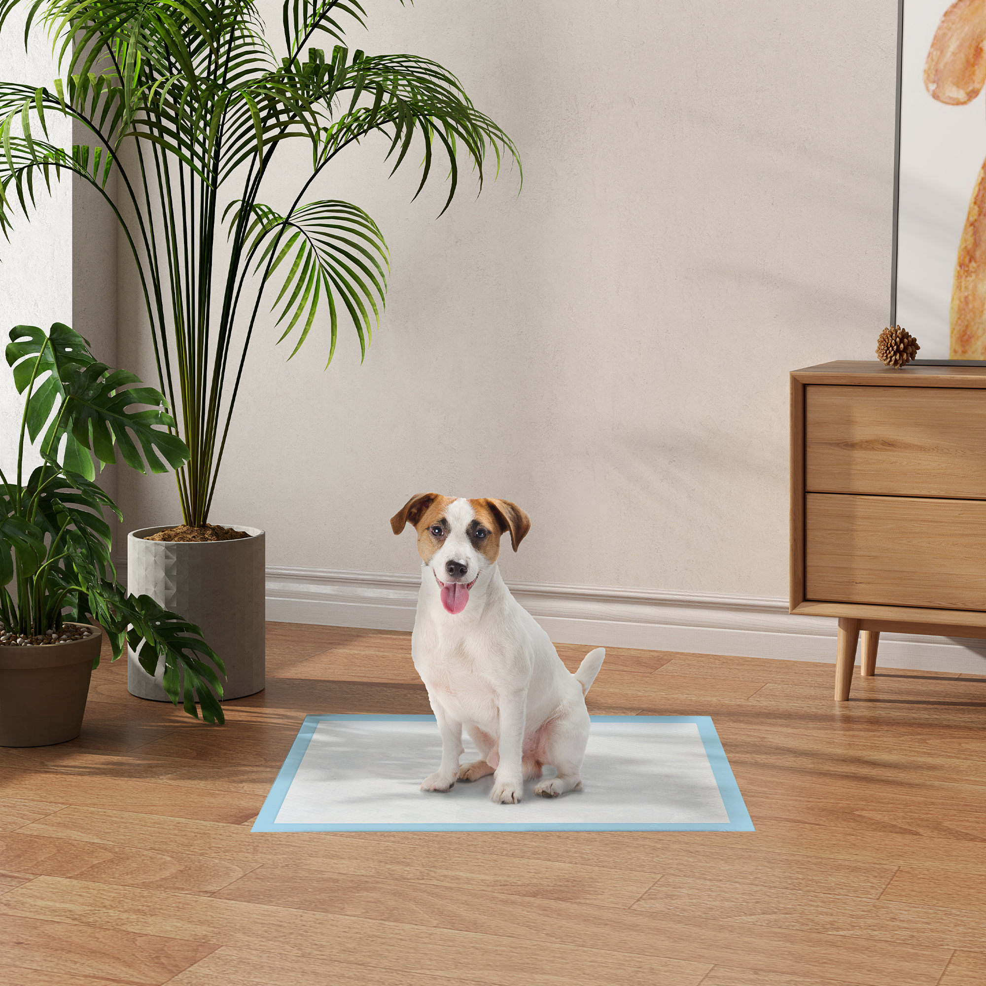 Perro sobre una almohadilla, en una habitación con planta y muebles, piso de madera.