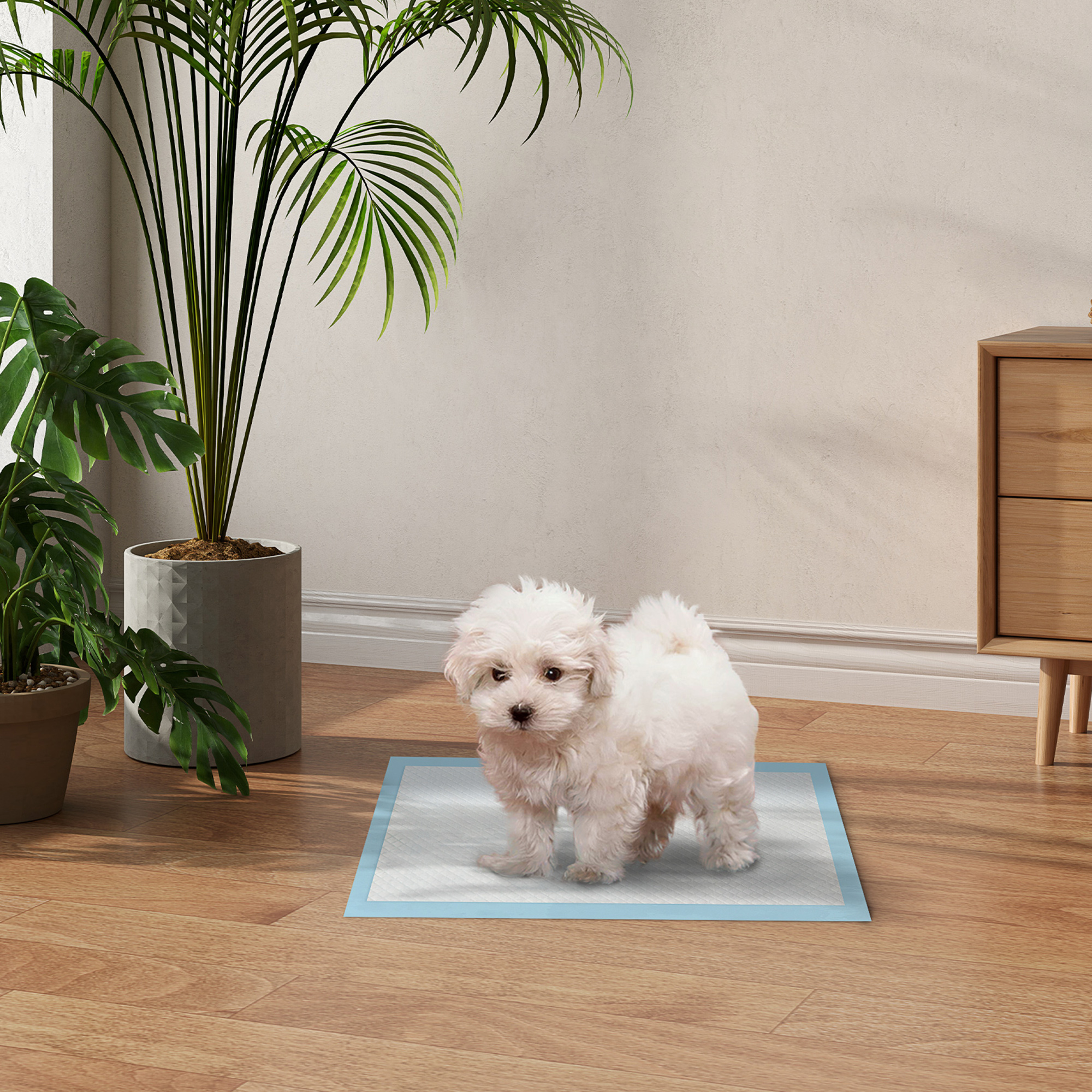 Cachorro blanco en una almohadilla azul en una habitación.
