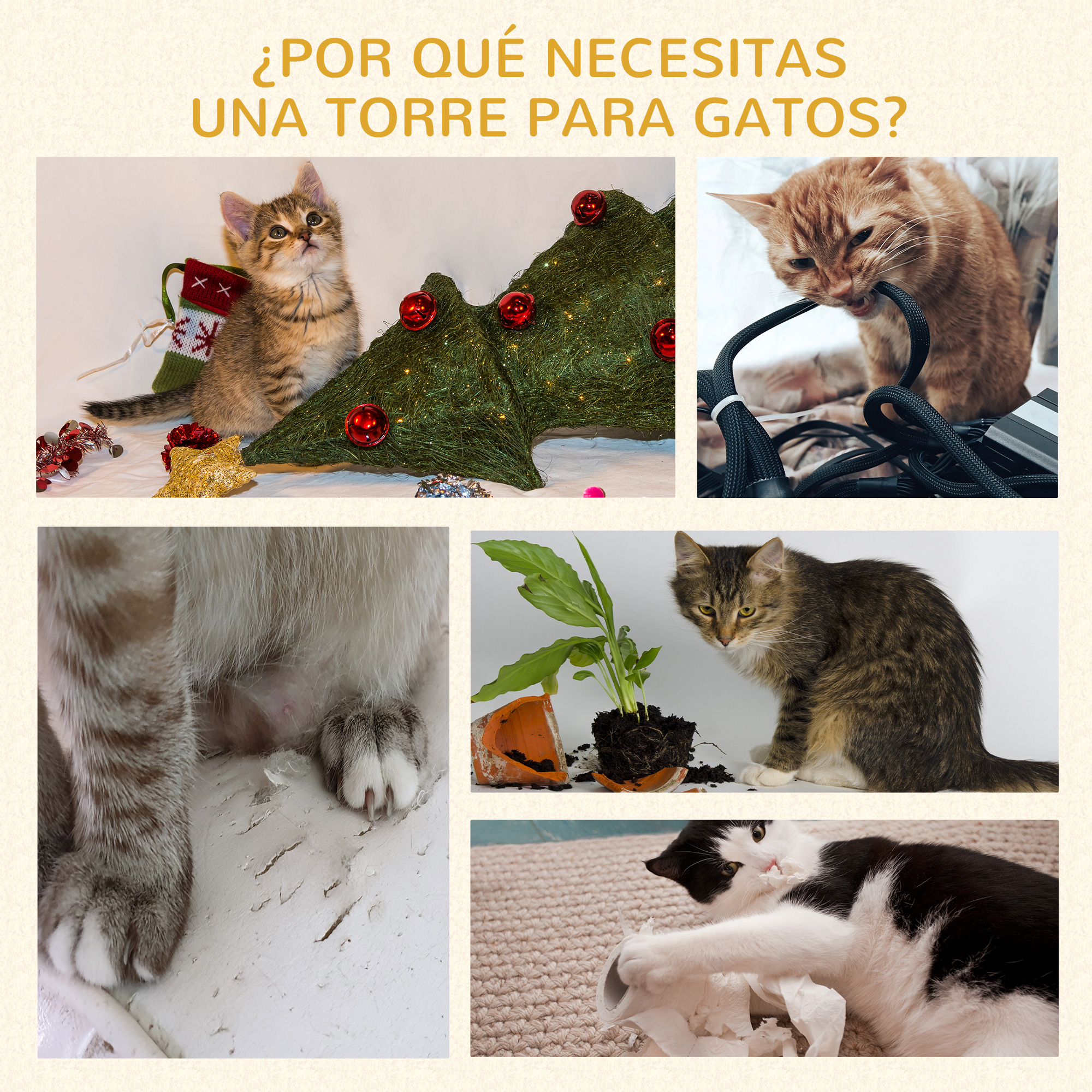 Gatos interactuando con varios objetos. Un árbol de Navidad, un cable, una maceta rota y más.
