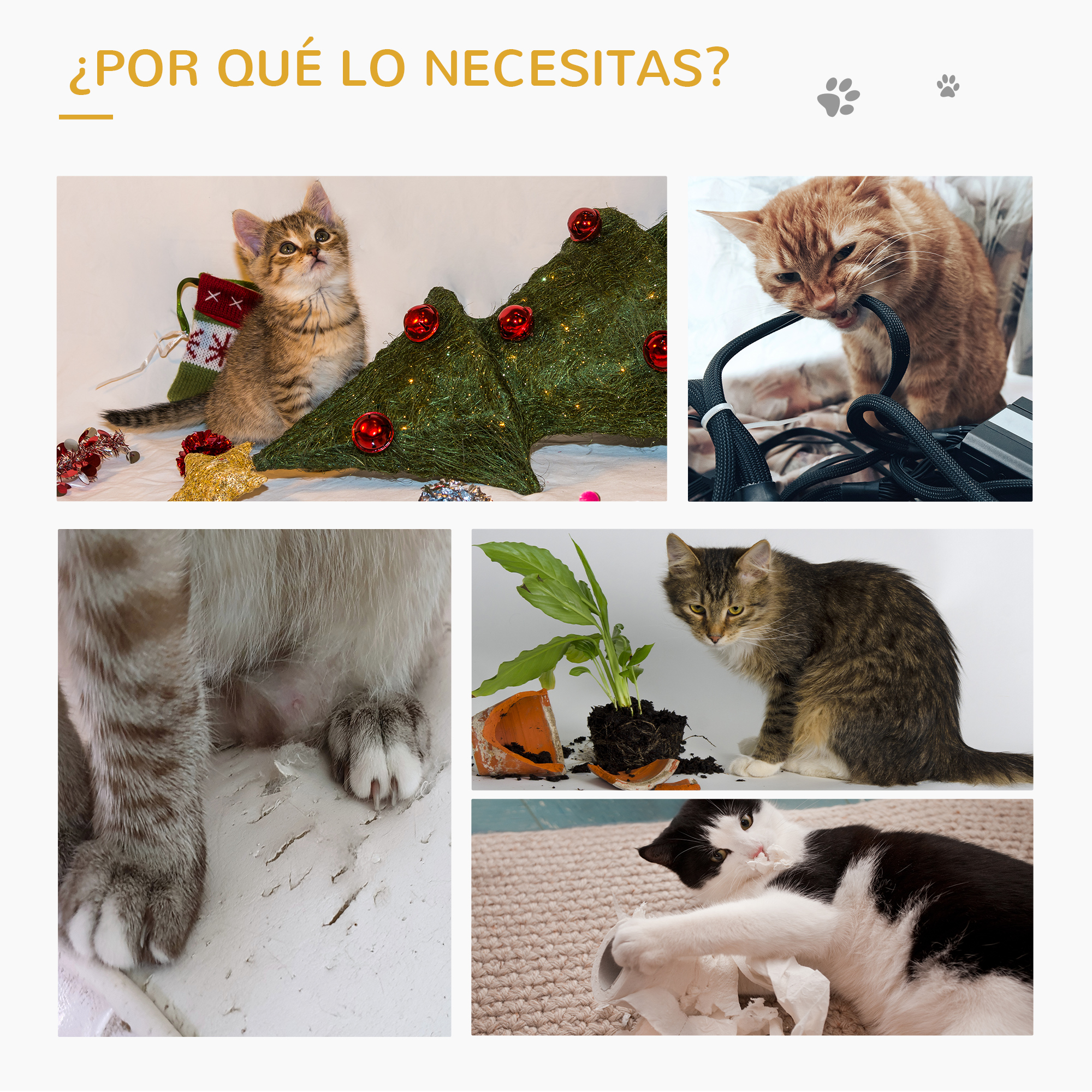 Collage de gatos y sus hábitos destructivos: masticar cables, destruir una planta, rasgar papel y rasguñar.