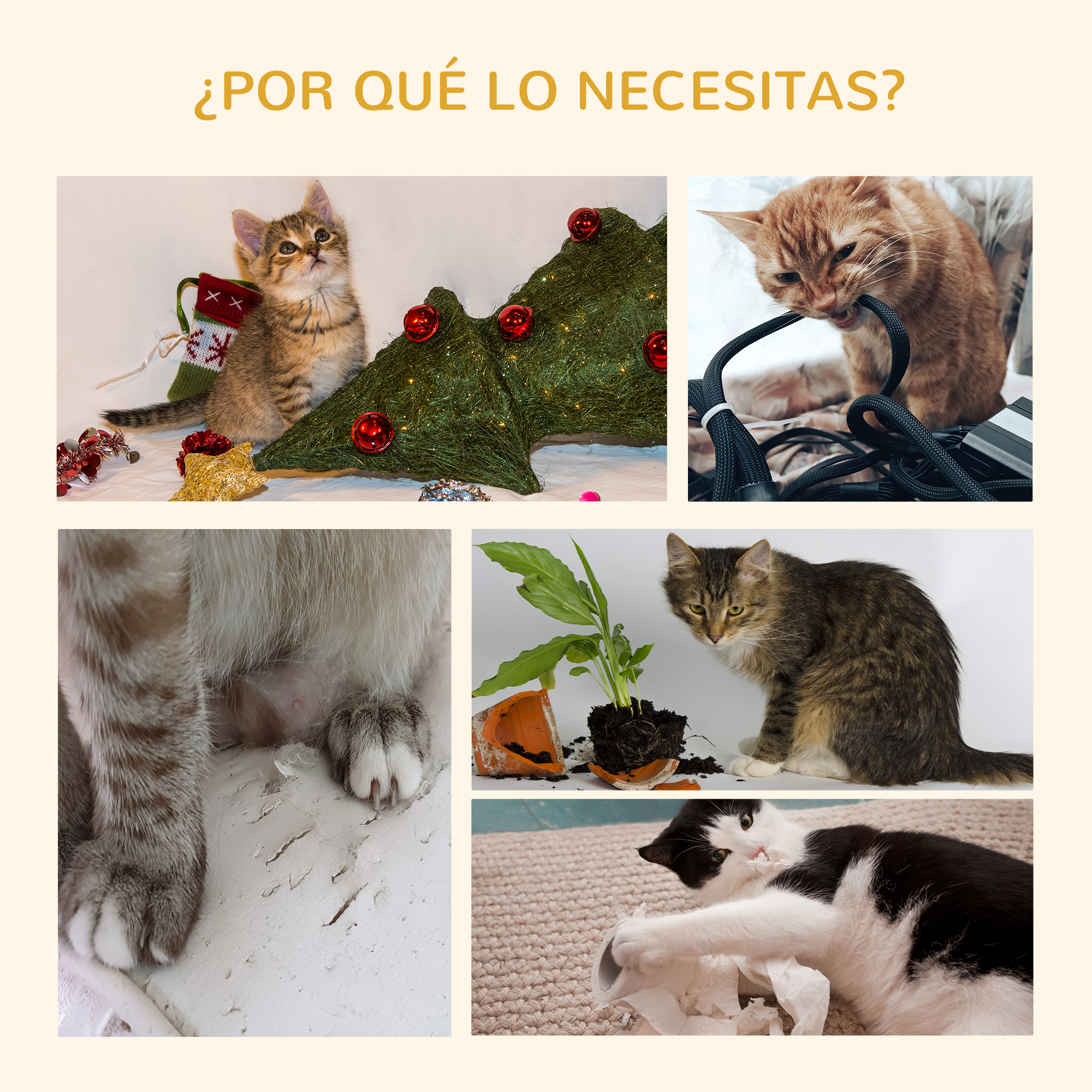 Un collage de problemas relacionados con gatos: masticar cables, romper una maceta y arañar muebles. Fondo blanco.