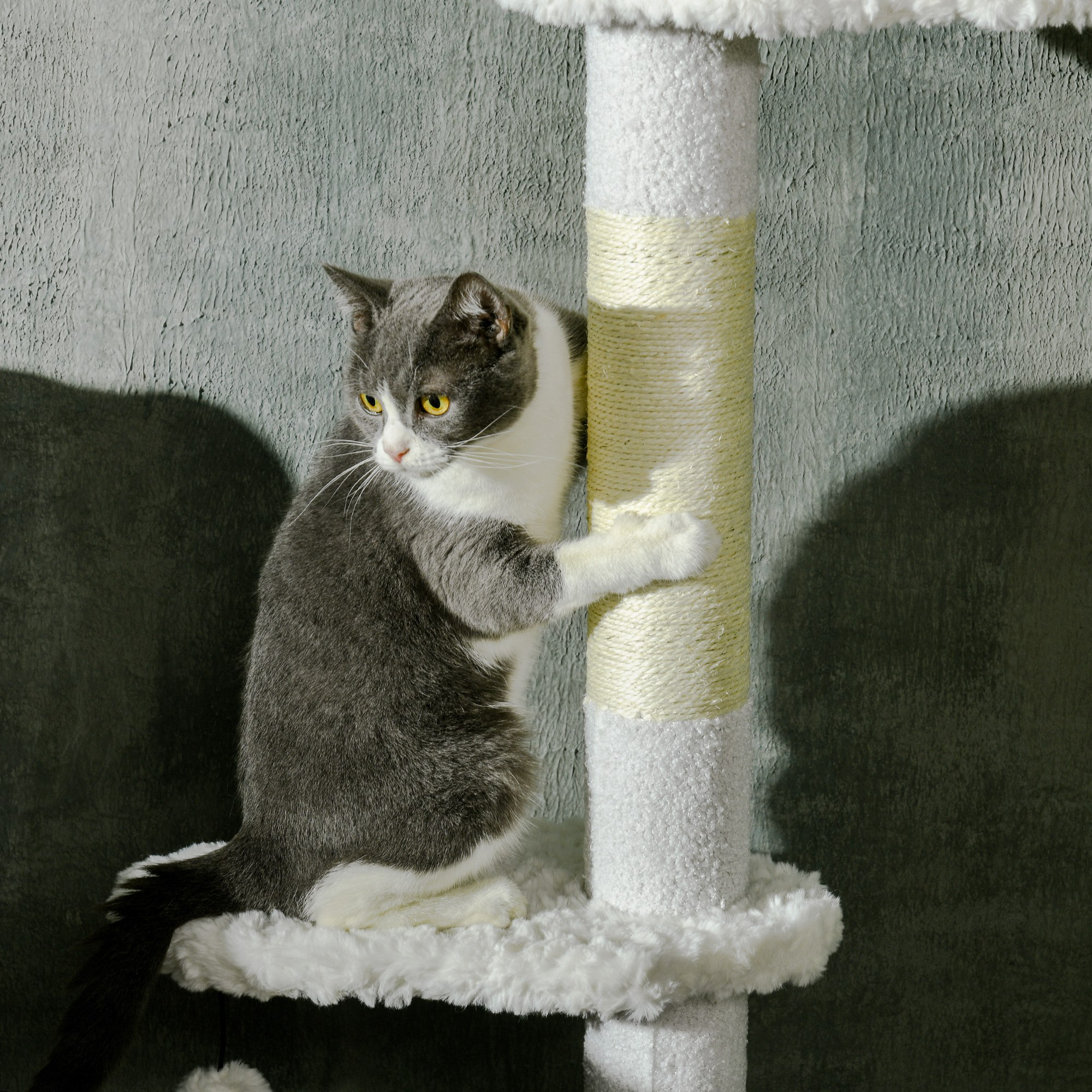 Un gato afila sus garras en un rascador. El árbol es beige y blanco.