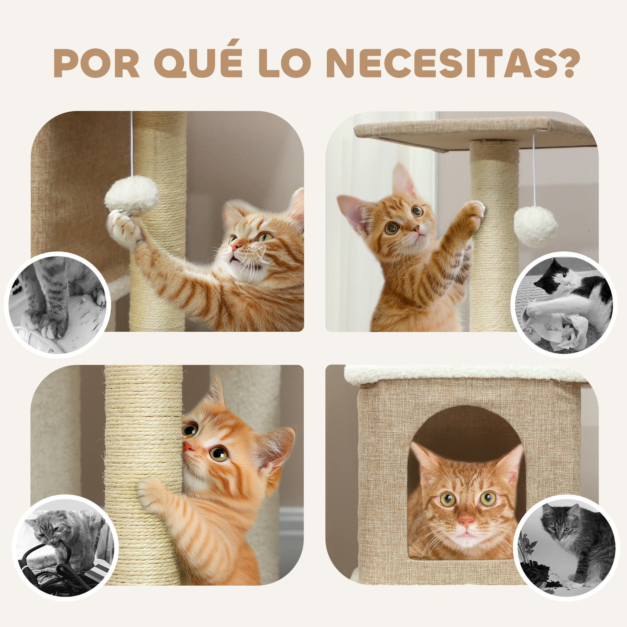 Cuatro imágenes que muestran gatitos jugando con rascadores y juguetes.