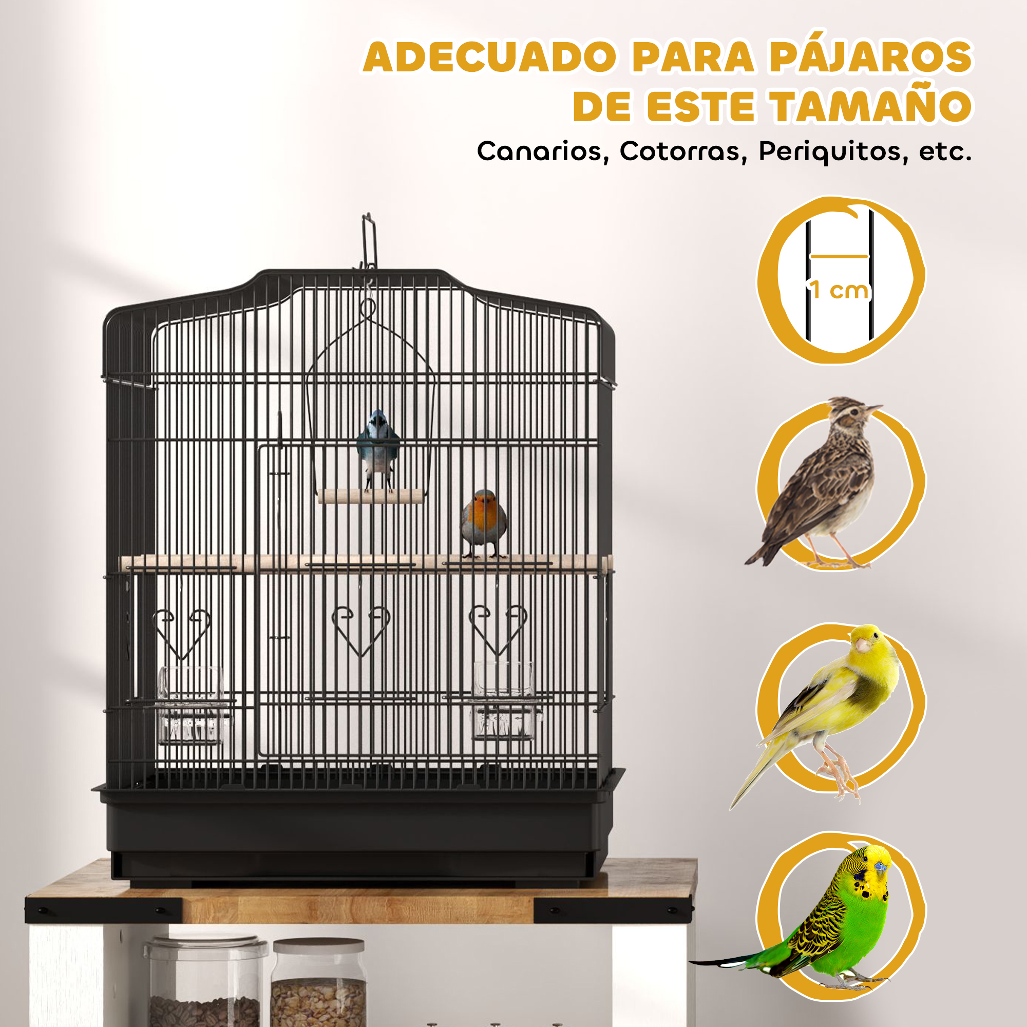 Una jaula negra con tres pájaros dentro, y ejemplos de pájaros adecuados para la jaula.