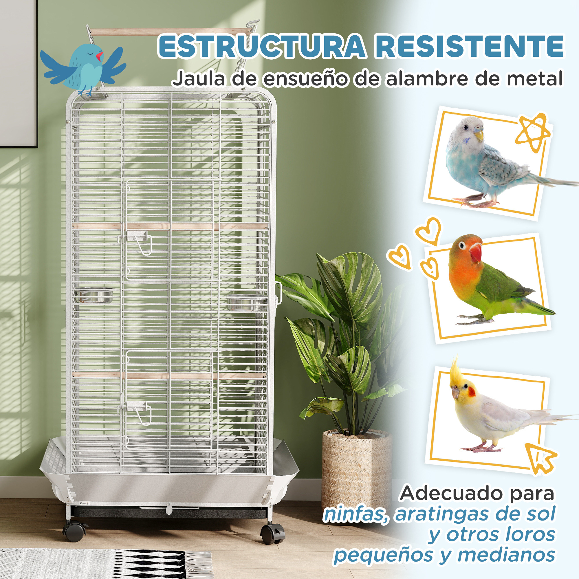 Jaula para pájaros con tres aves. Un pájaro vuela. Una planta en maceta en la esquina.