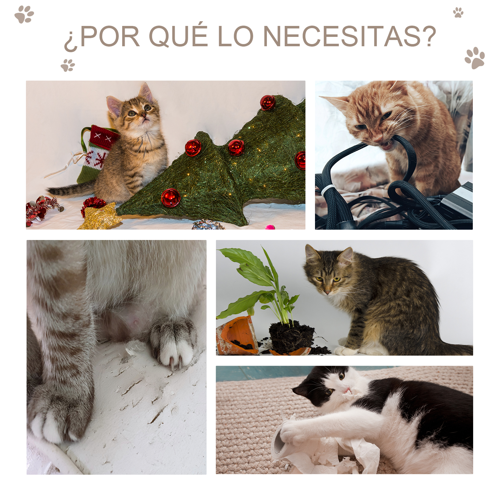 Gatos interactuando con varios objetos: árbol de Navidad, cables, planta. Collage con texto: ¿Por qué lo necesitas?