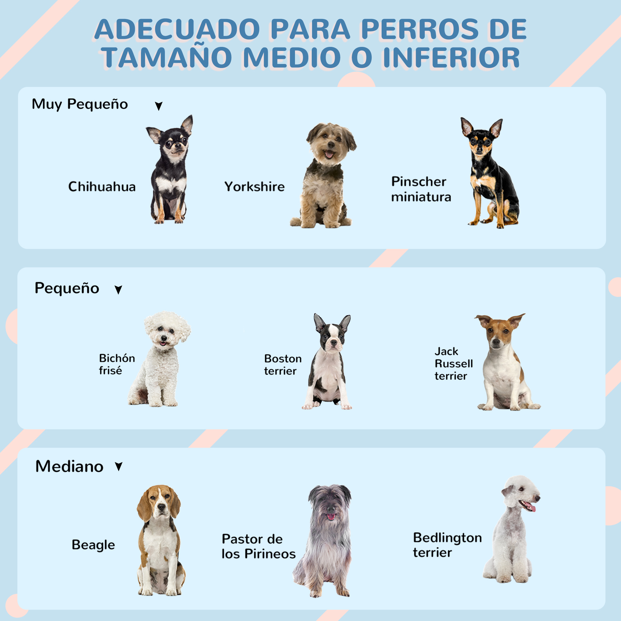 Diagrama de razas de perros. Razas incluidas: Chihuahua, Yorkshire, Pinscher, Bichón Frisé, Boston terrier, Jack Russell.