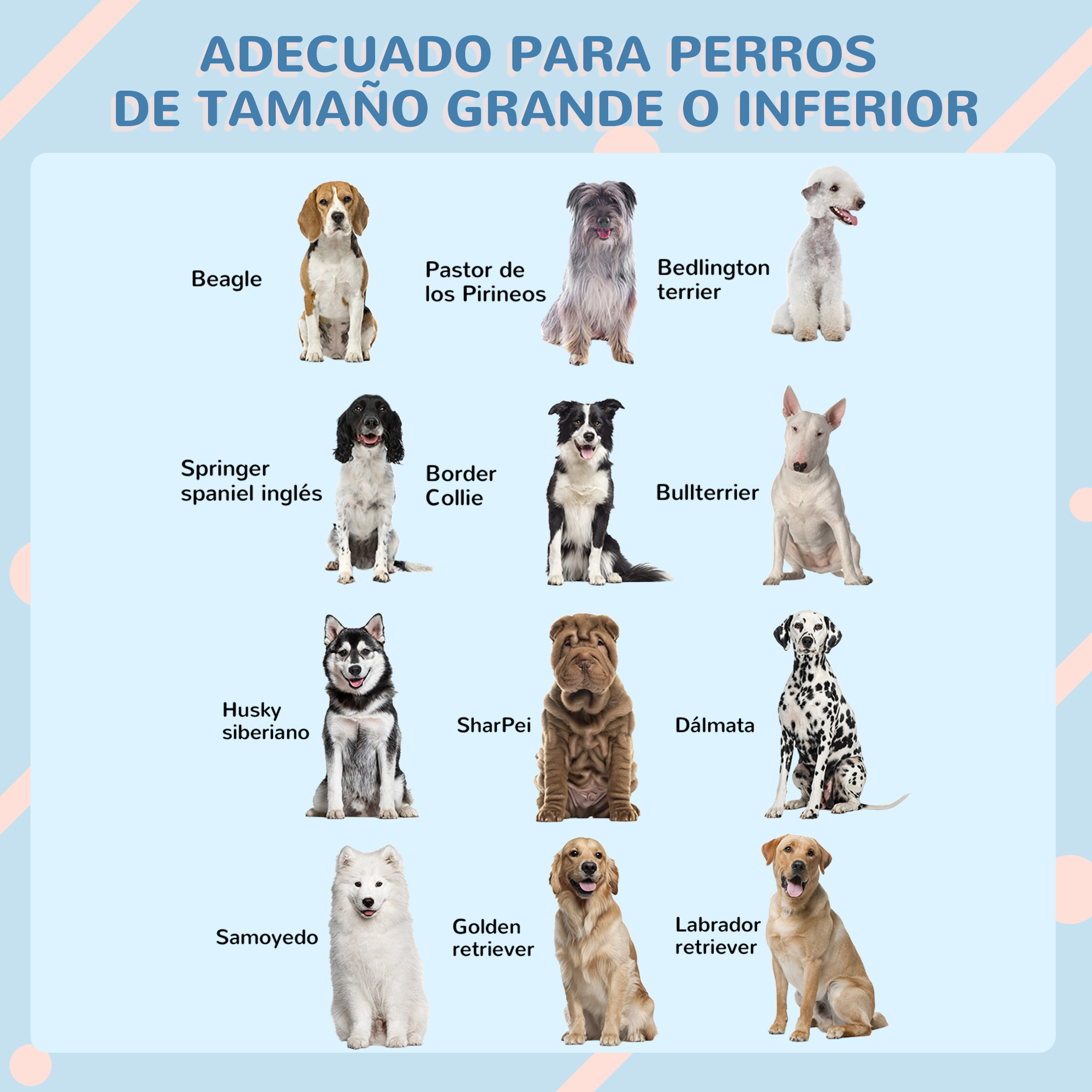 La imagen muestra varias razas de perros con sus nombres: Beagle, Husky, Golden Retriever, etc., sobre un fondo azul claro.