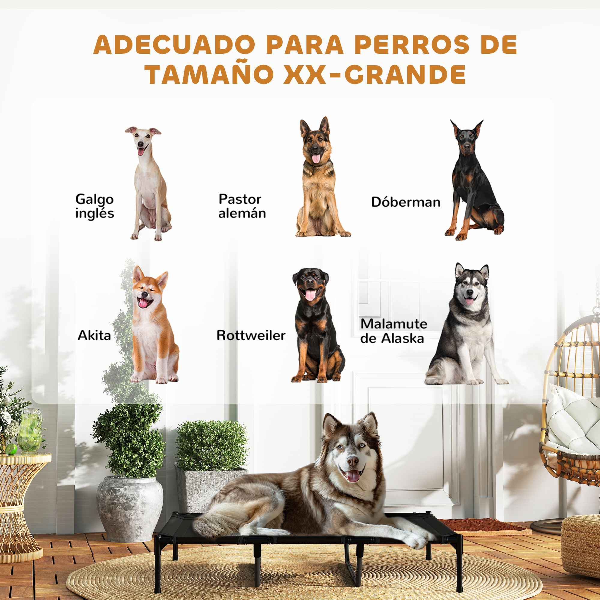 Techo de asfalto verde en una casa para perros de madera con iconos de sol y lluvia.