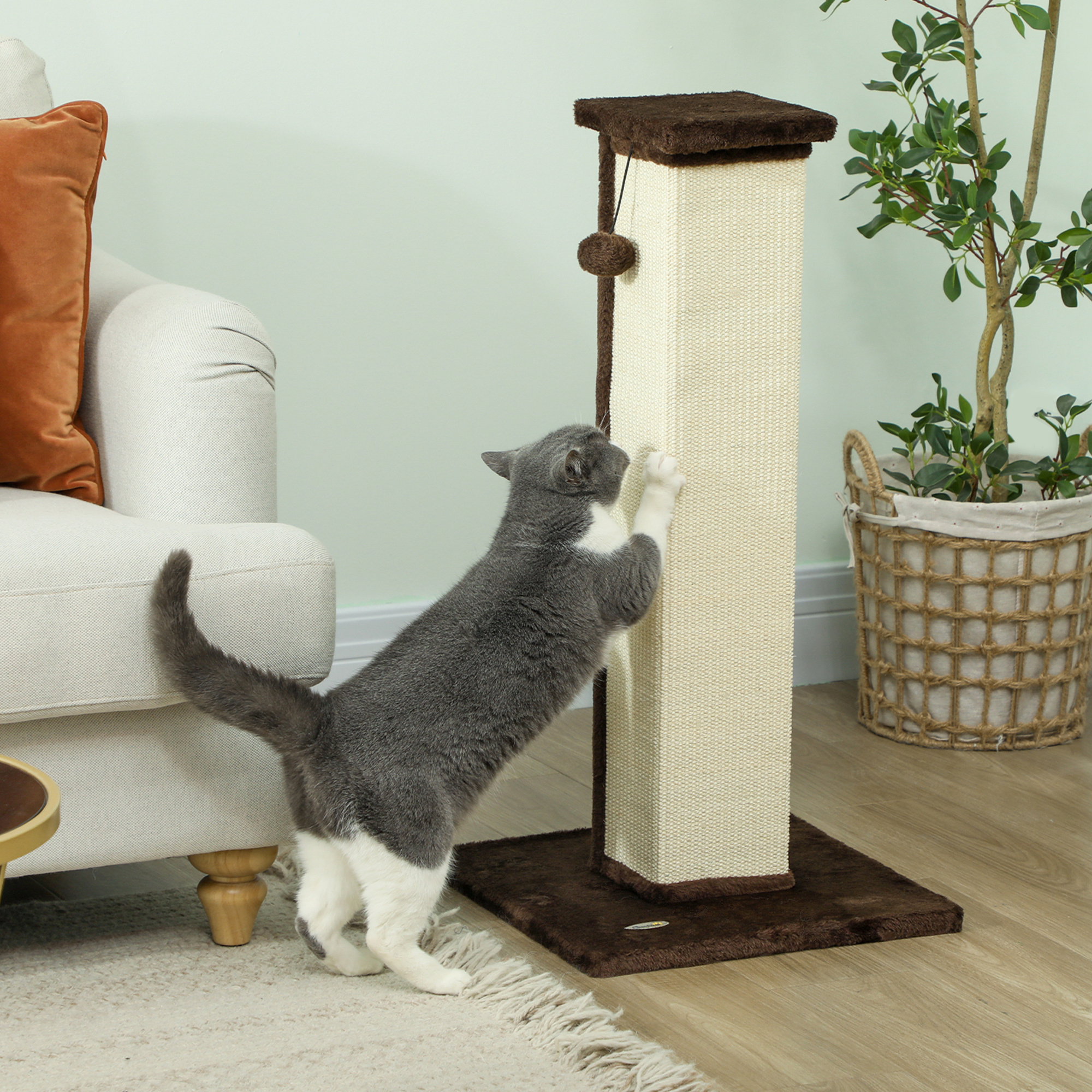 Un gato gris y blanco rascando un rascador marrón. Una planta está en el fondo.