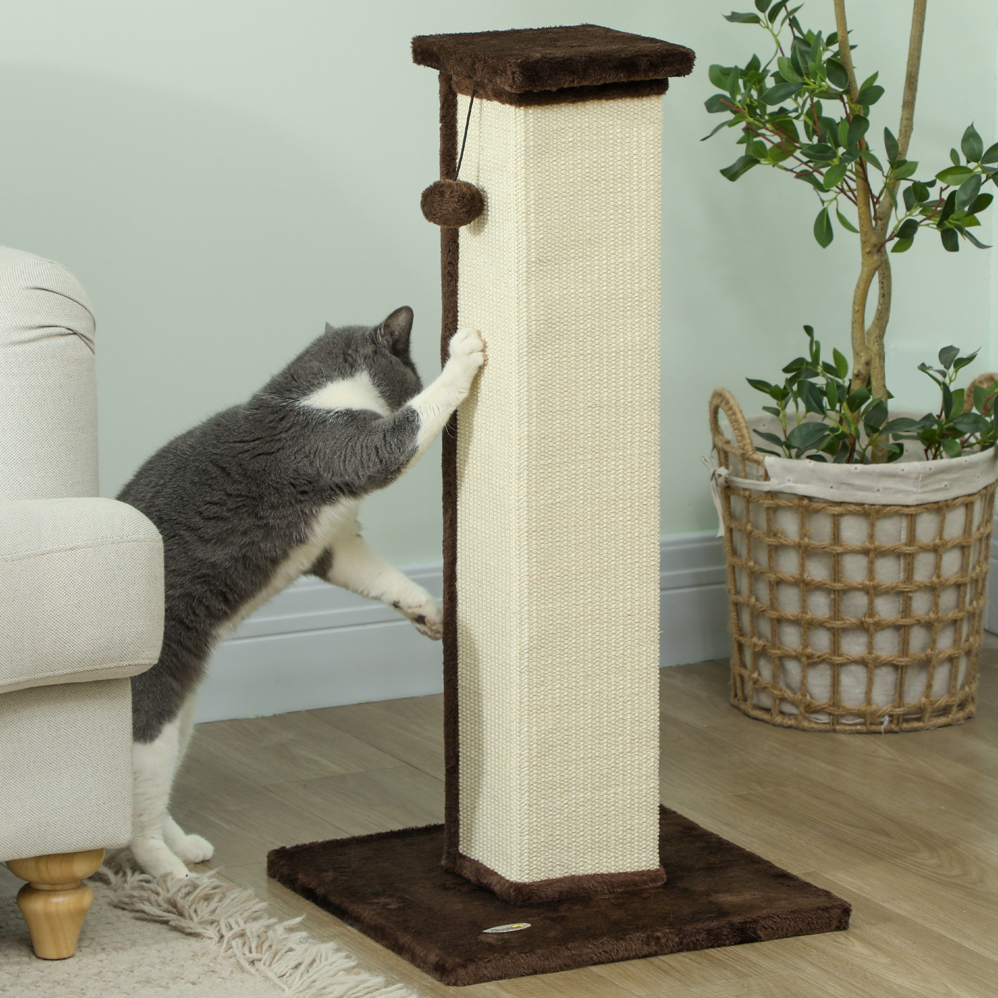 Un gato está rascando un poste rascador marrón y beige, con una planta en el fondo.