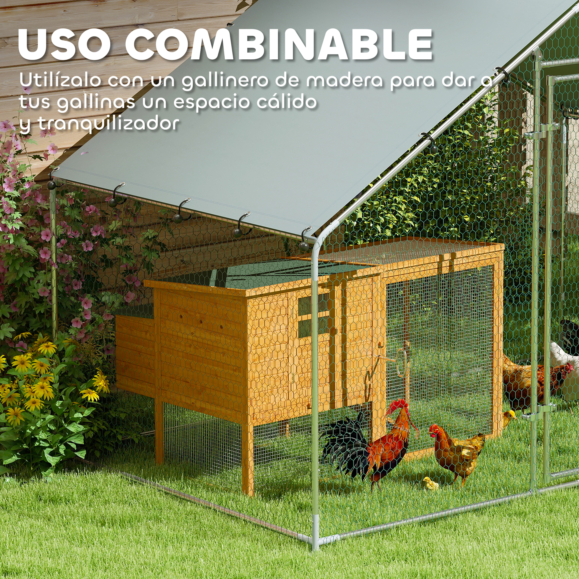 Un gallinero de madera con gallinas y un gallo. Se adjunta un dosel blanco. La escena está en un césped verde.