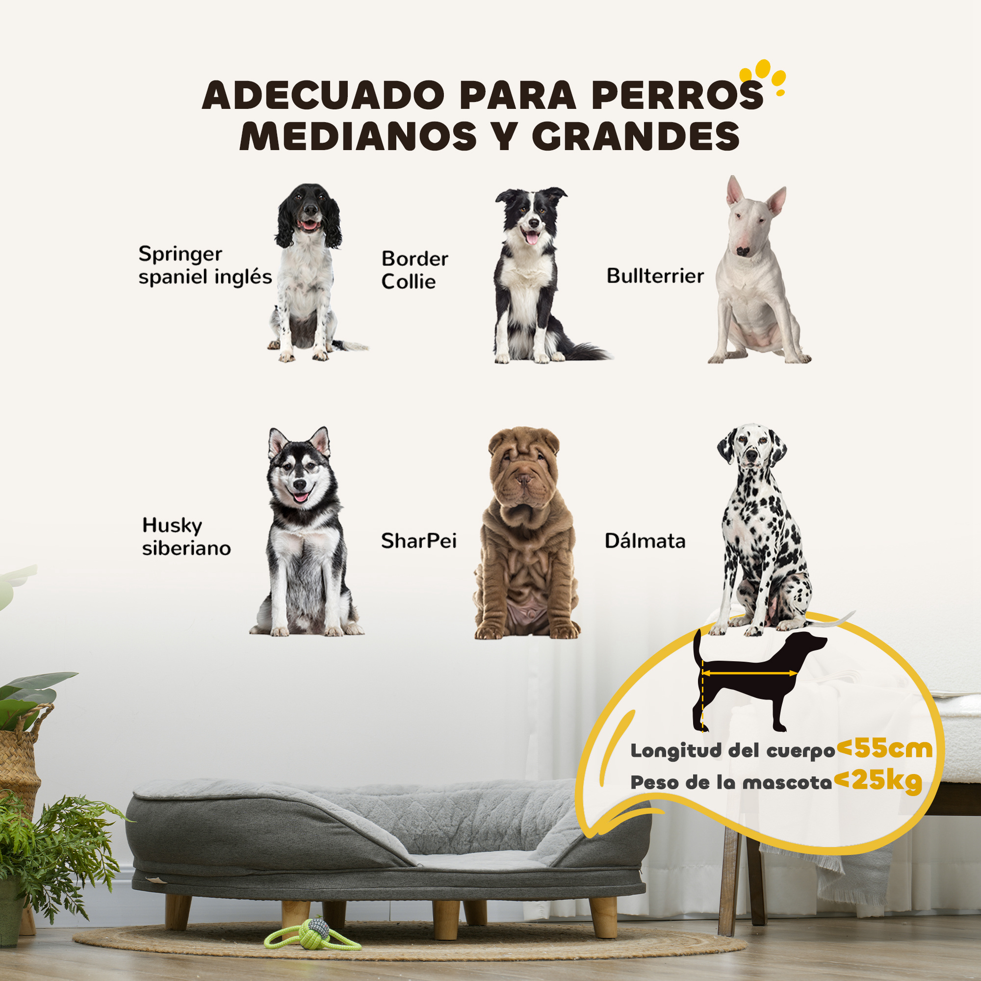 Se muestran razas de perros: Springer spaniel, Border Collie, Bull Terrier, Husky Siberiano, Shar Pei, Dálmata. Se muestra una cama para perros.