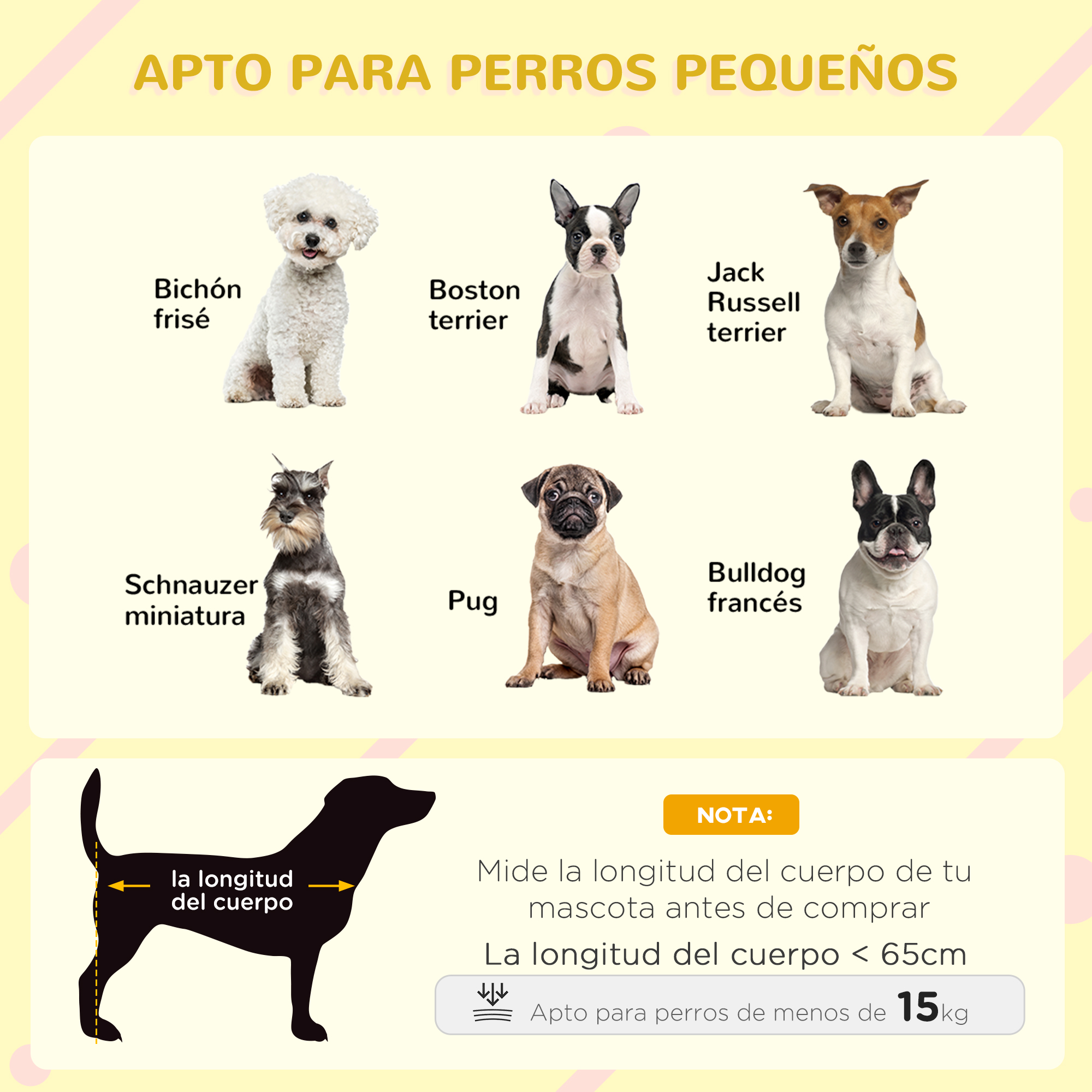 Imagen de razas de perros pequeños: Bichón Frisé, Boston Terrier, Jack Russell, Schnauzer, Pug, Bulldog Francés. Guía de medición.